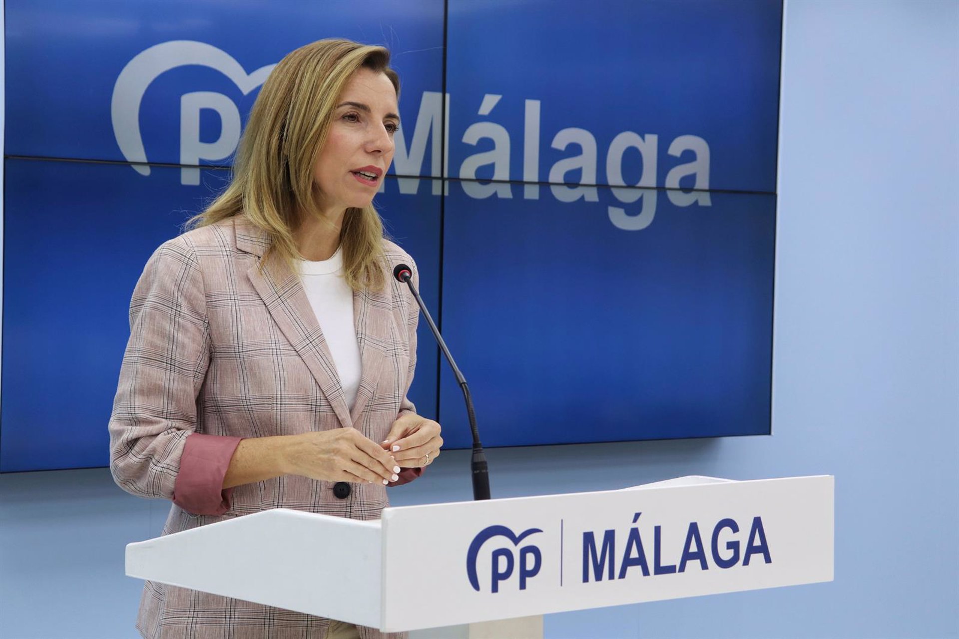 El PP exige al Gobierno un plan nacional de Salud Mental y prevención del suicidio