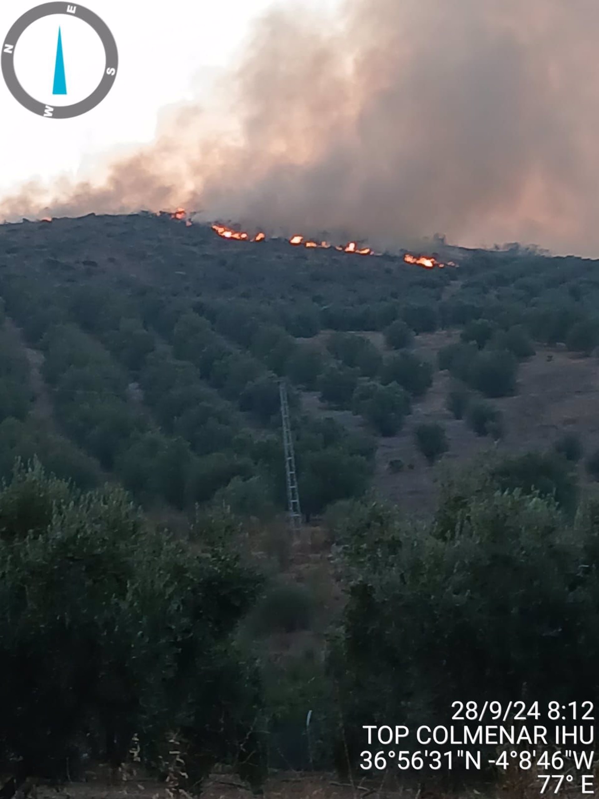 Un incendio afecta a un paraje de Alcaucín donde seis grupos de bomberos luchan contra las llamas