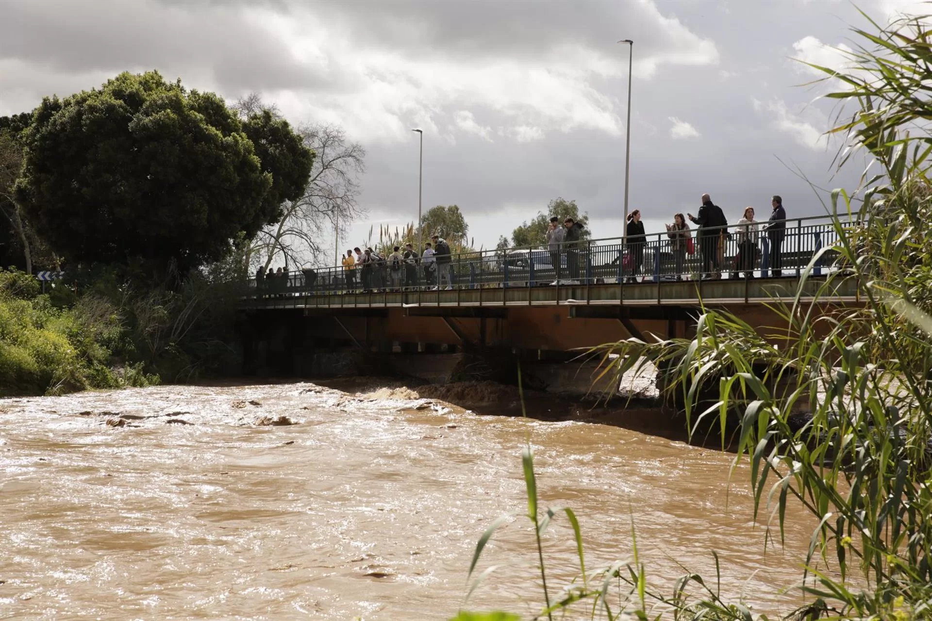 Málaga contabiliza una treintena de incidencias por lluvias y viento, entre ellas rescates y evacuados