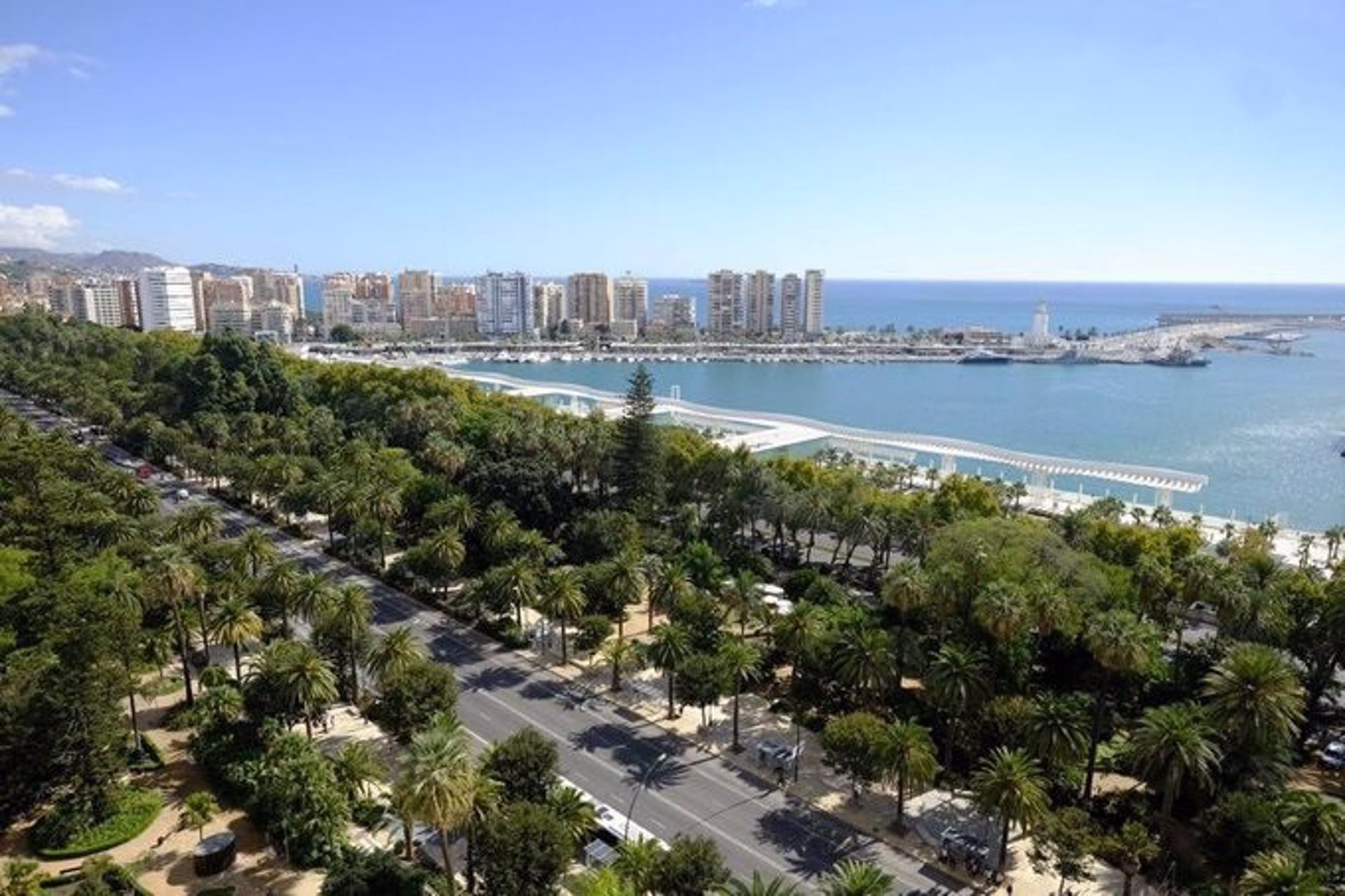 El Ayuntamiento completa la campaña anual de plantación de árboles con 1.869 nuevos ejemplares en la ciudad