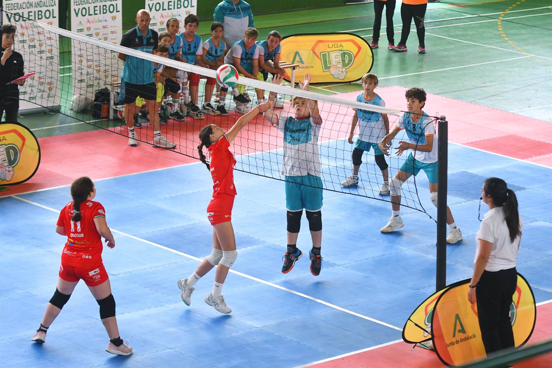 La Ciudad Deportiva Javier Imbroda de Málaga acoge la Fase Final de la Liga LED
