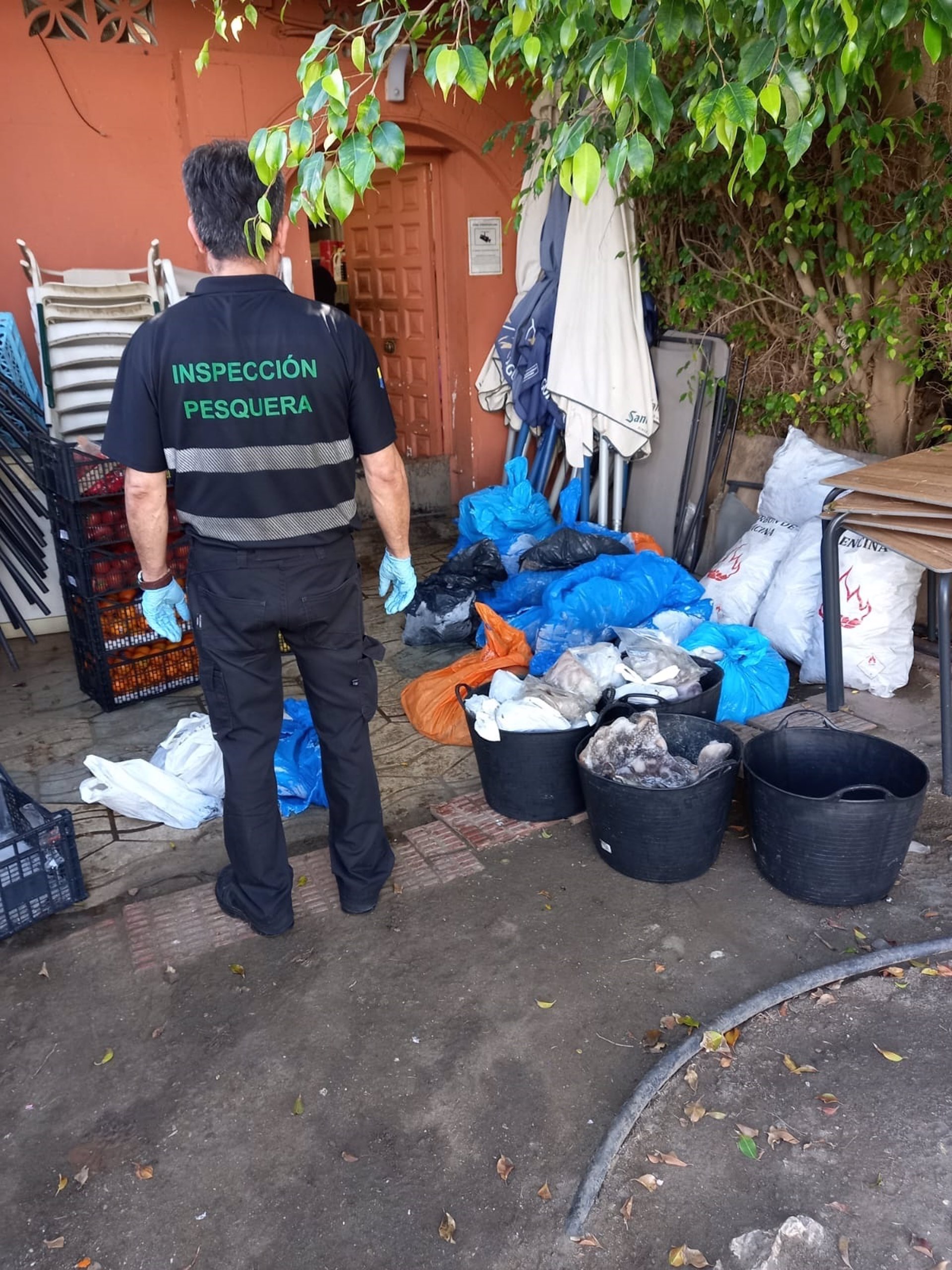La Junta interviene más de 450 kilos de pulpo congelado en Benalmádena