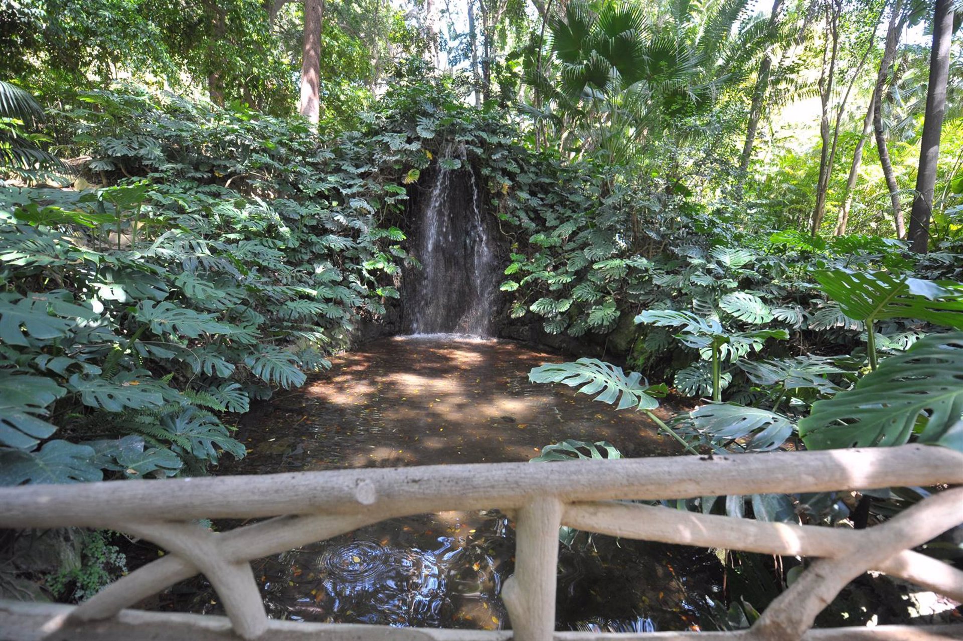 El Ayuntamiento adjudica la concesión para el espectáculo navideño de luz y sonido en el Jardín Botánico