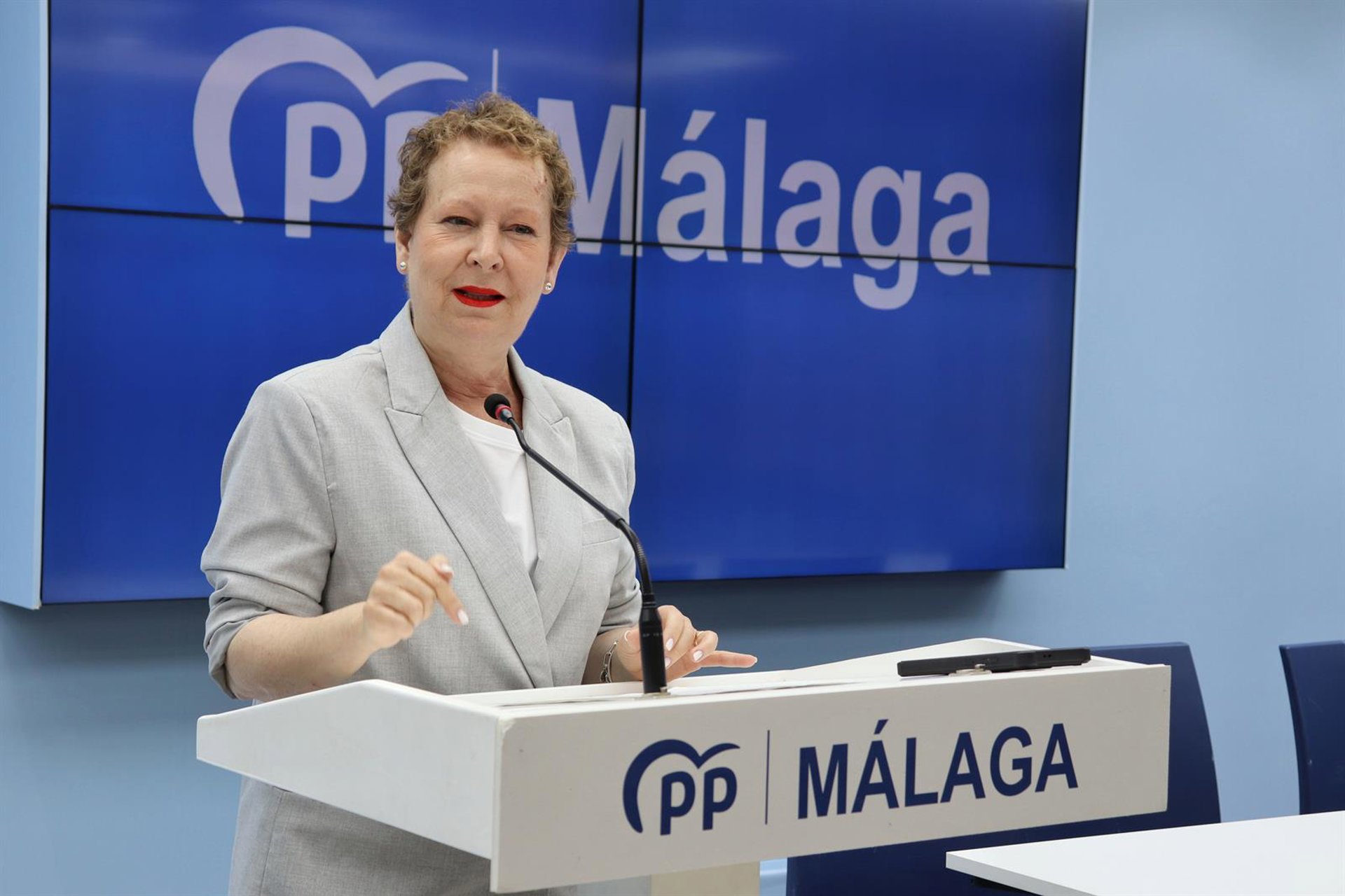 El PP afea "el abandono" del Gobierno en materia de seguridad y reclama más medios para reforzarla