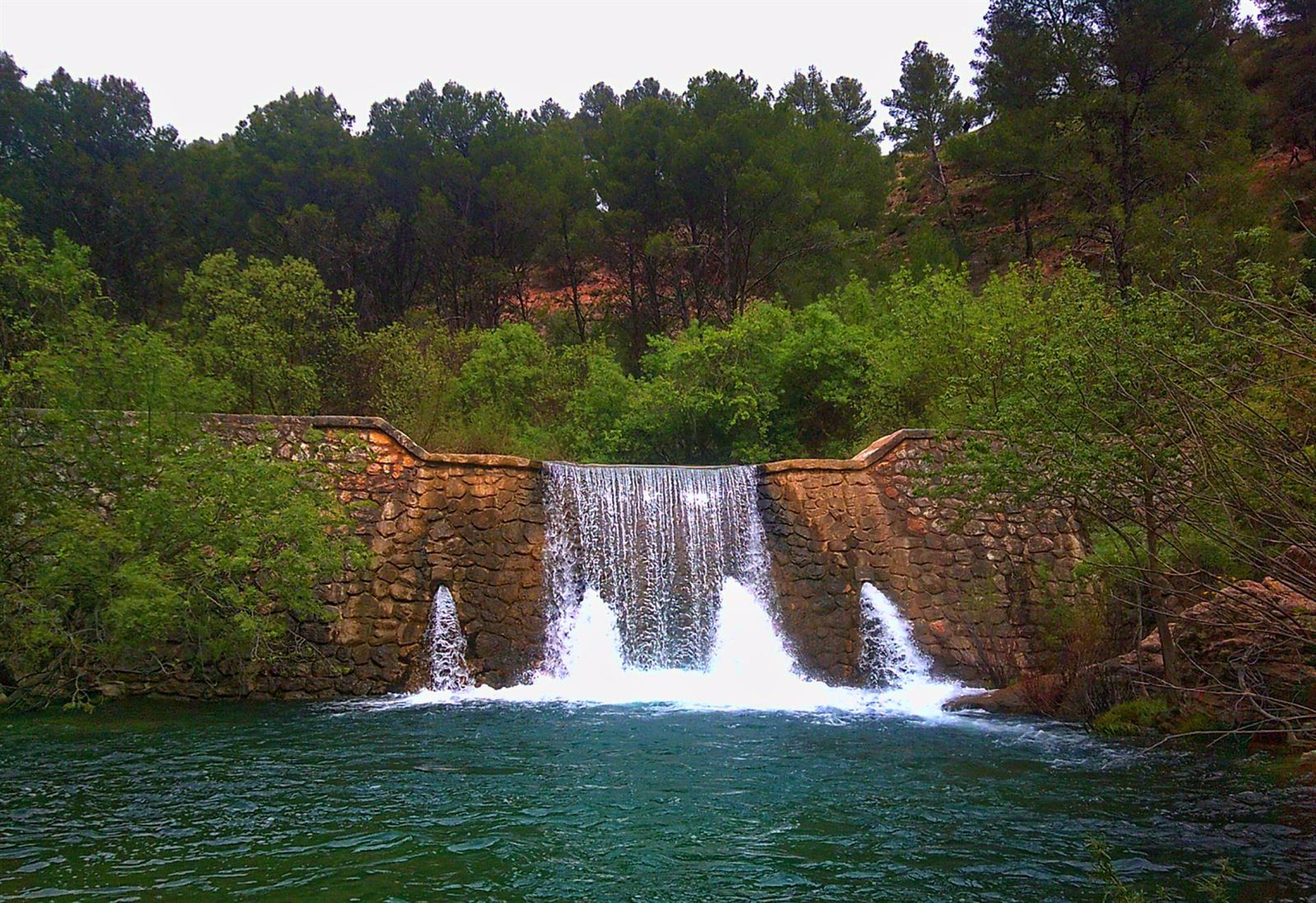 El Parque Nacional Sierra de las Nieves entrega los premios de su XV Concurso de Fotografía