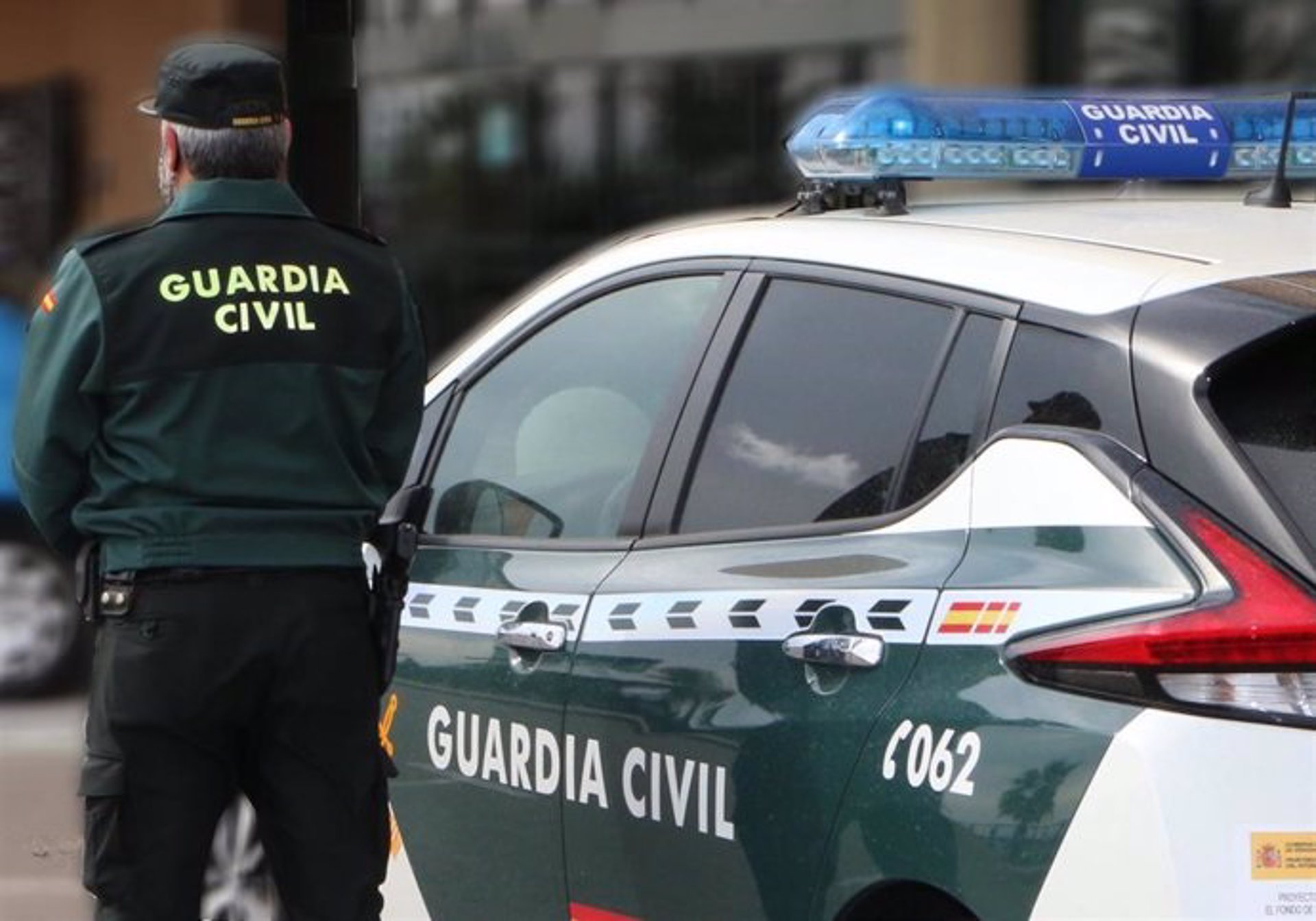 Seis detenidos tras caer una organización dedicada al hurto de aceitunas en la comarca de Antequera