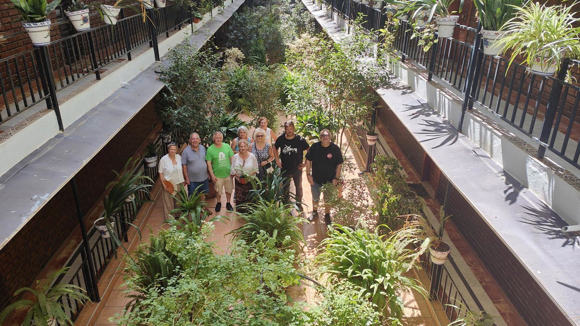 Con Málaga propone un programa de medidas para reverdecer edificios y combatir el calor extremo en la ciudad