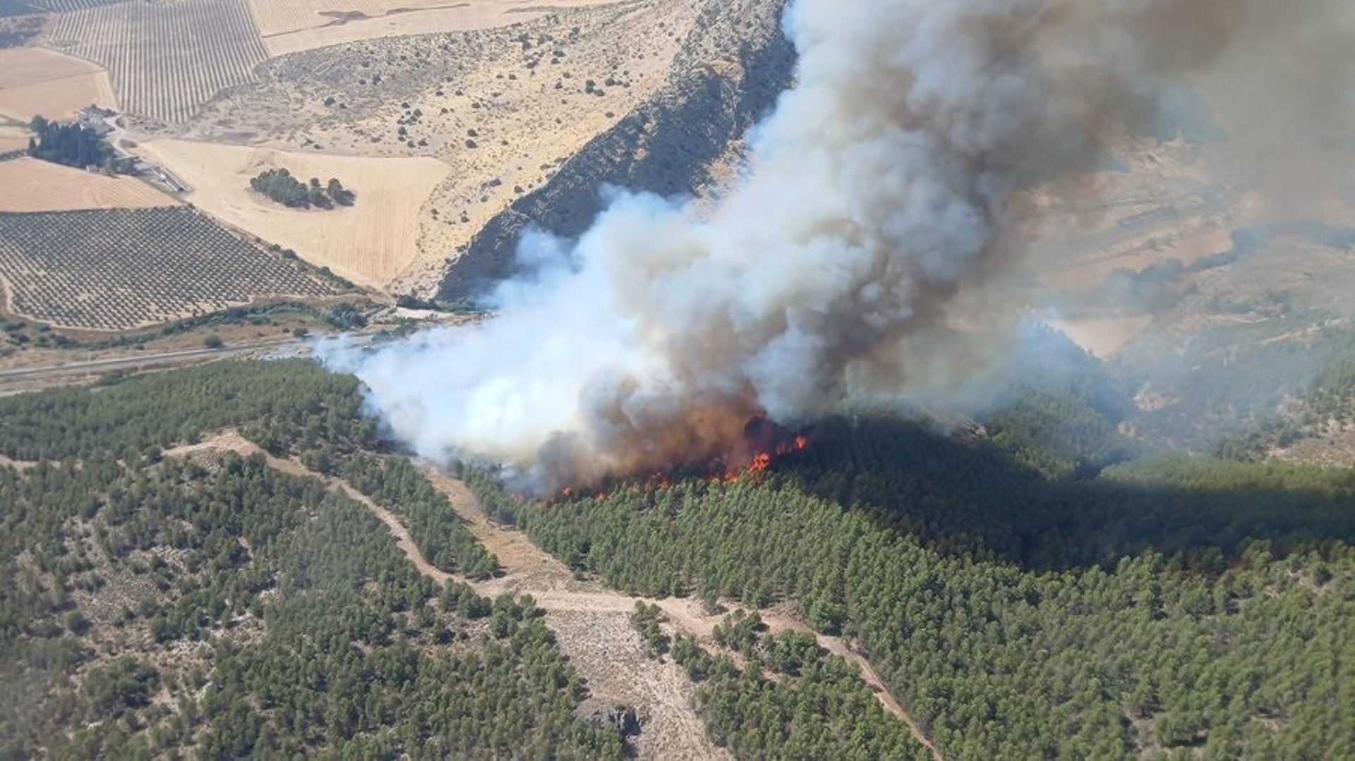 Declarado un incendio forestal en un paraje de Antequera