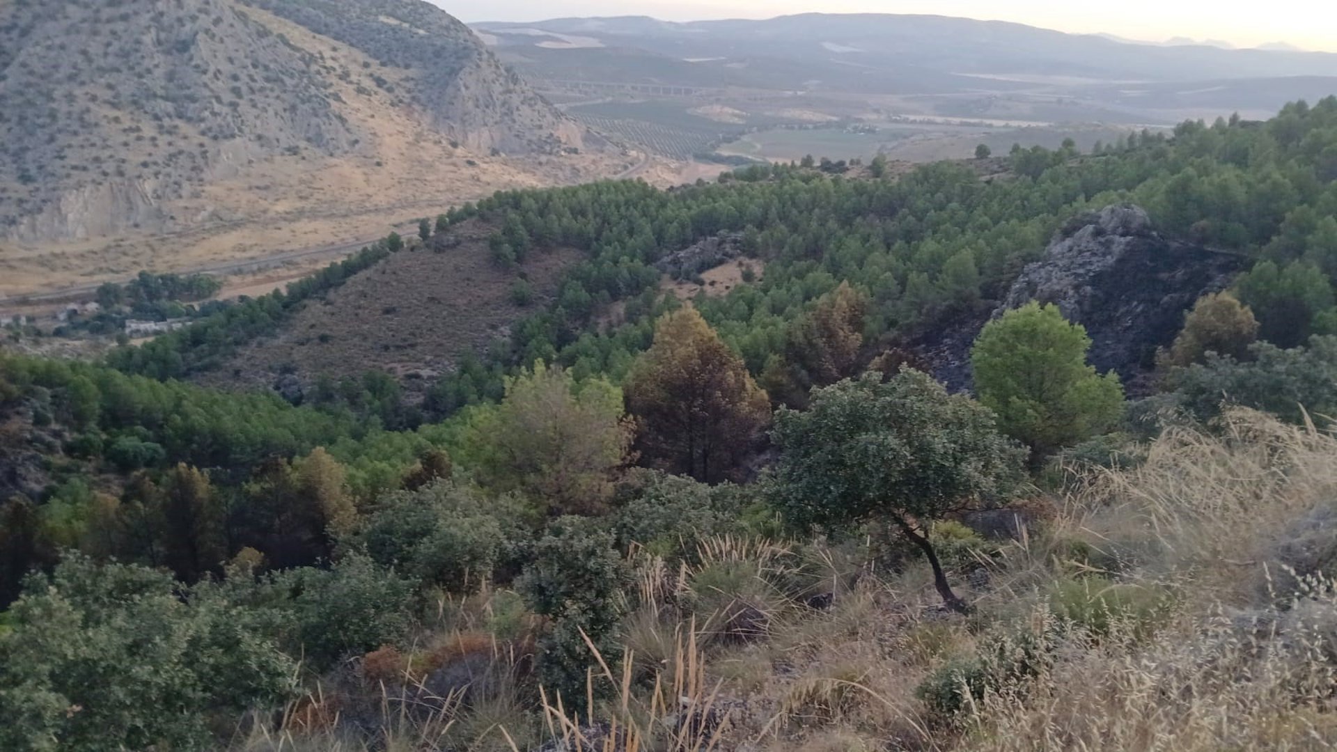 Extinguido el incendio forestal declarado este pasado martes en Antequera