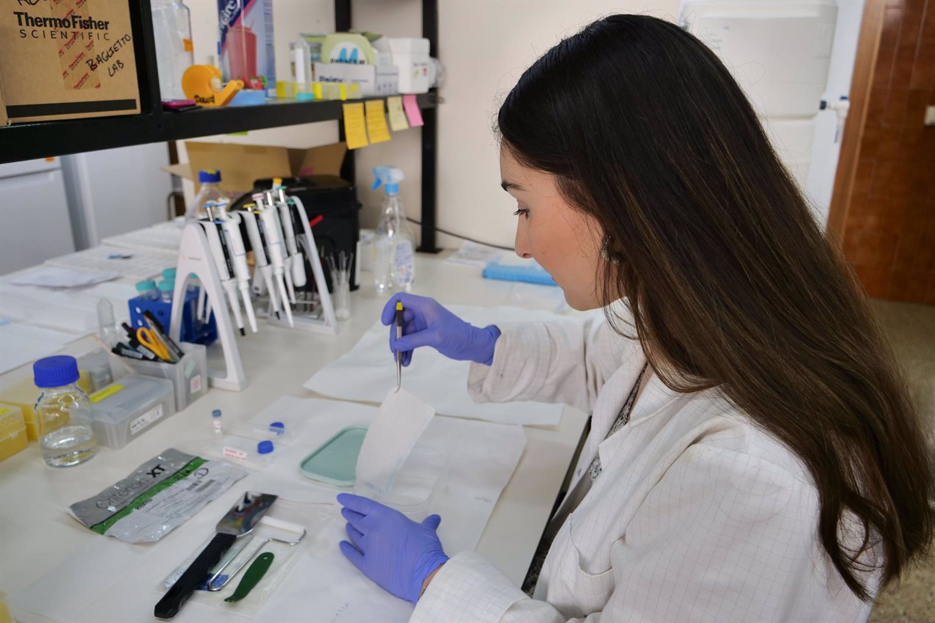La UMA consigue más de diez millones de euros de fondos para la investigación que proceden del Plan Nacional