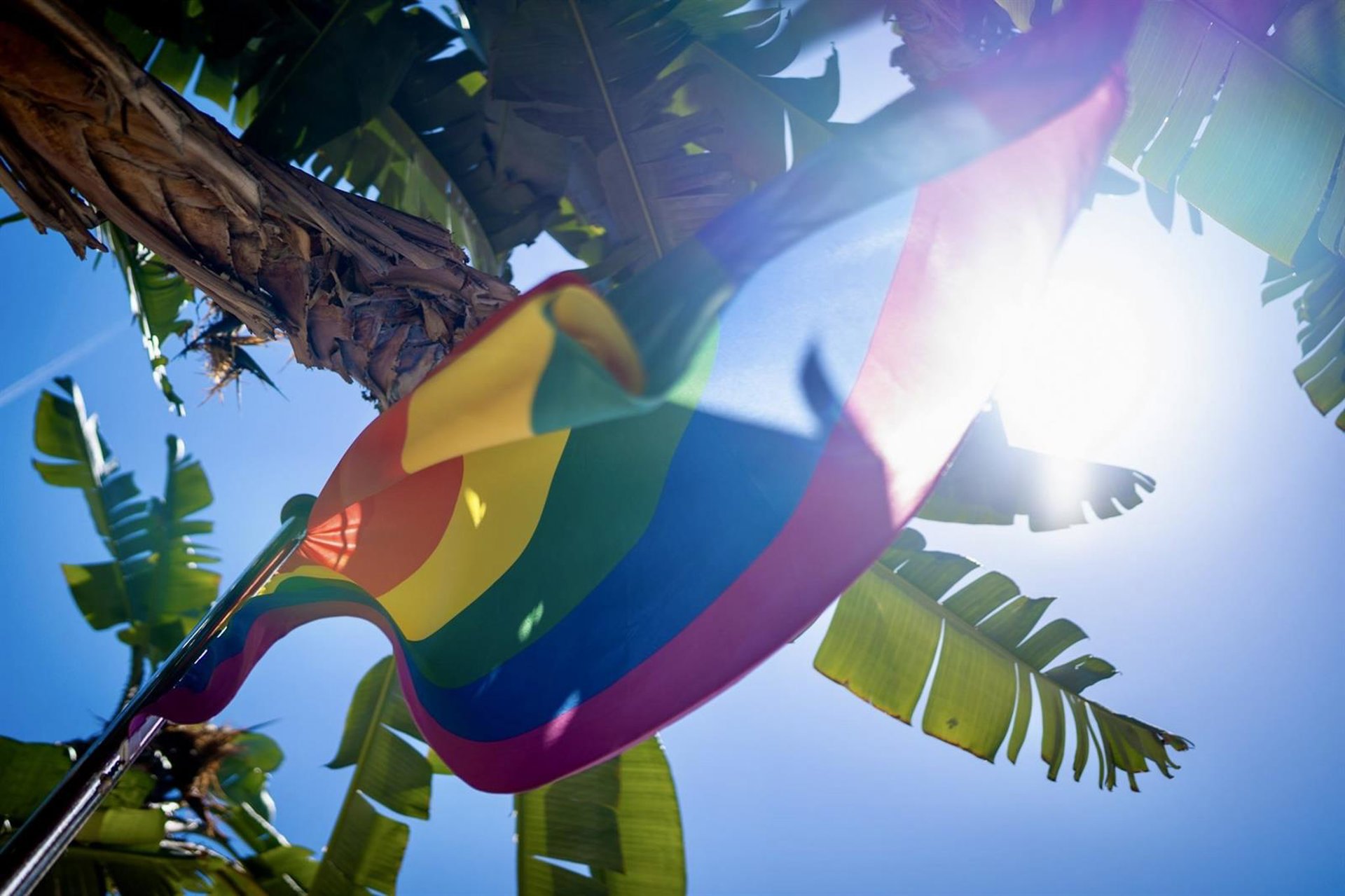 Pleno del Ayuntamiento se suma a la celebración del Día del Orgullo Lgtbi con reproches y el voto en contra Vox