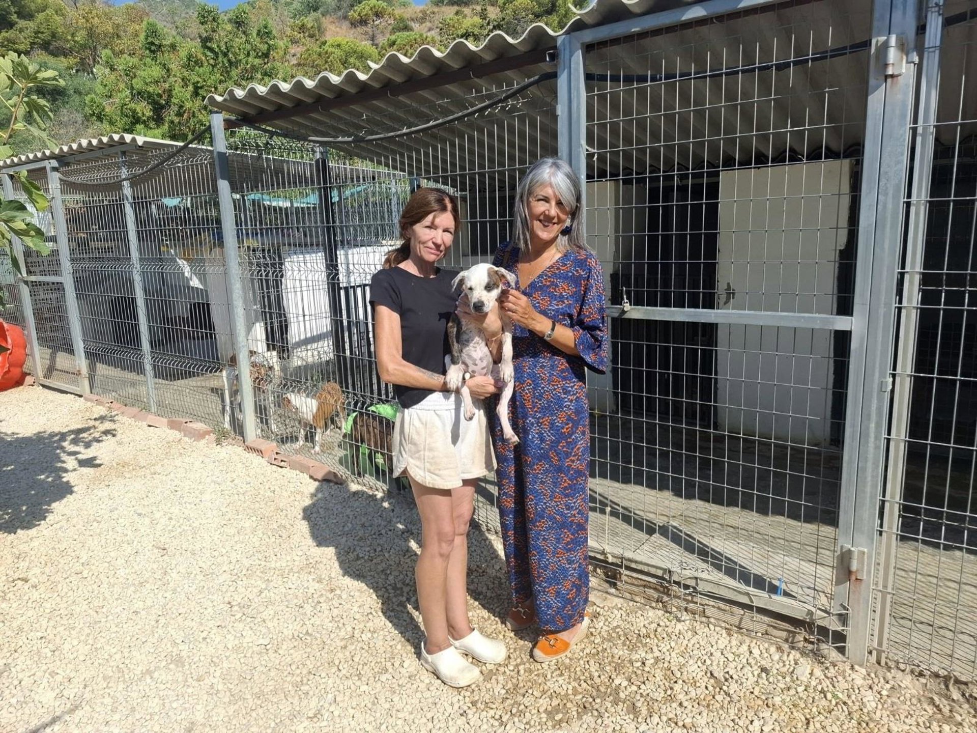 Benalmádena y Fidelio trabajan de manera conjunta para la adopción los animales acogidos en el plazo de un año