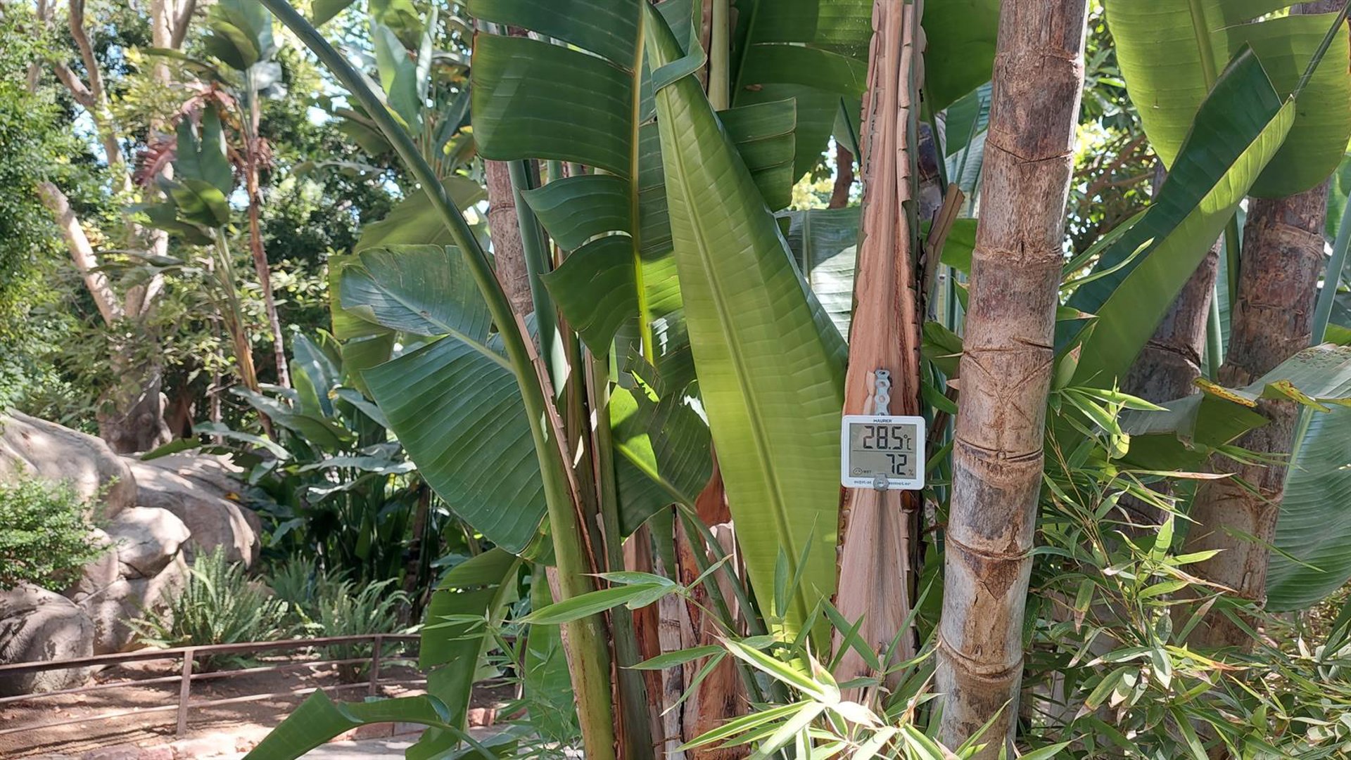 Bioparc Fuengirola, un oasis verde contra el calor extremo