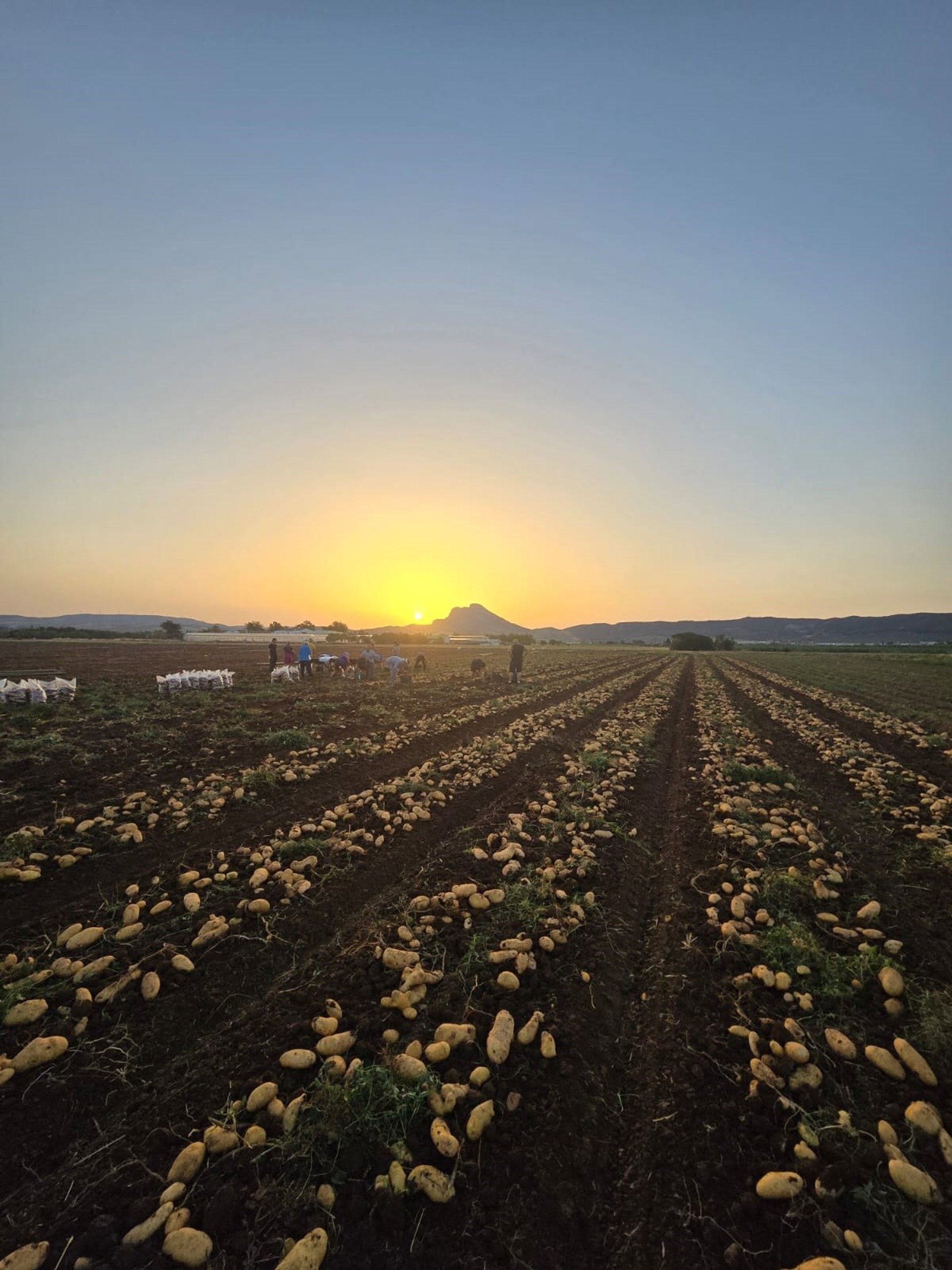 COAG Málaga reclama a la Diputación que las ayudas agrarias "lleguen a los profesionales del sector"