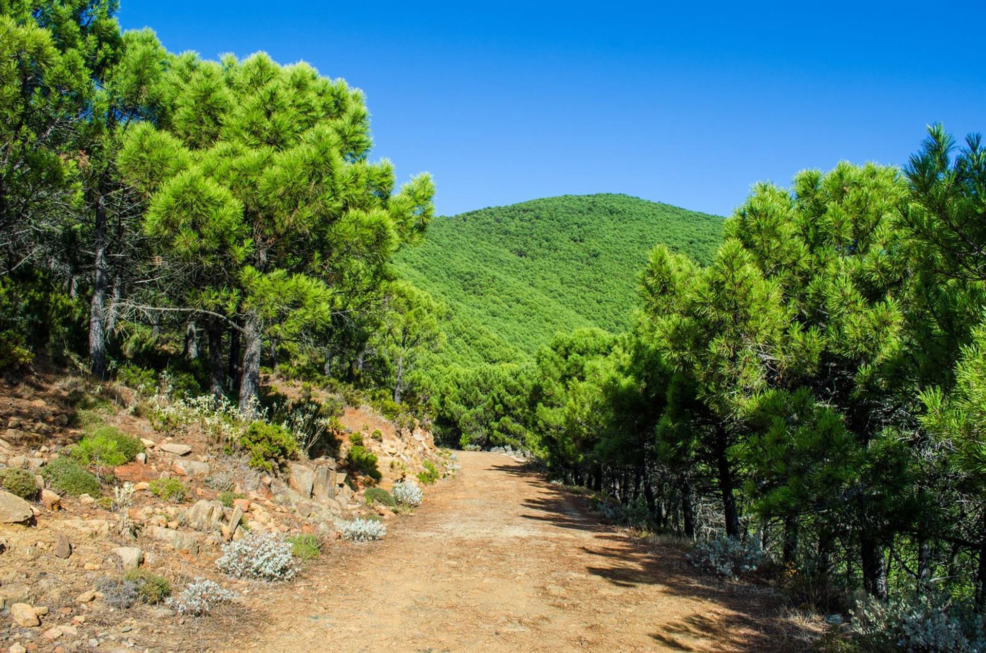 Estepona intensifica controles en los accesos a los parajes naturales para evitar incendios forestales