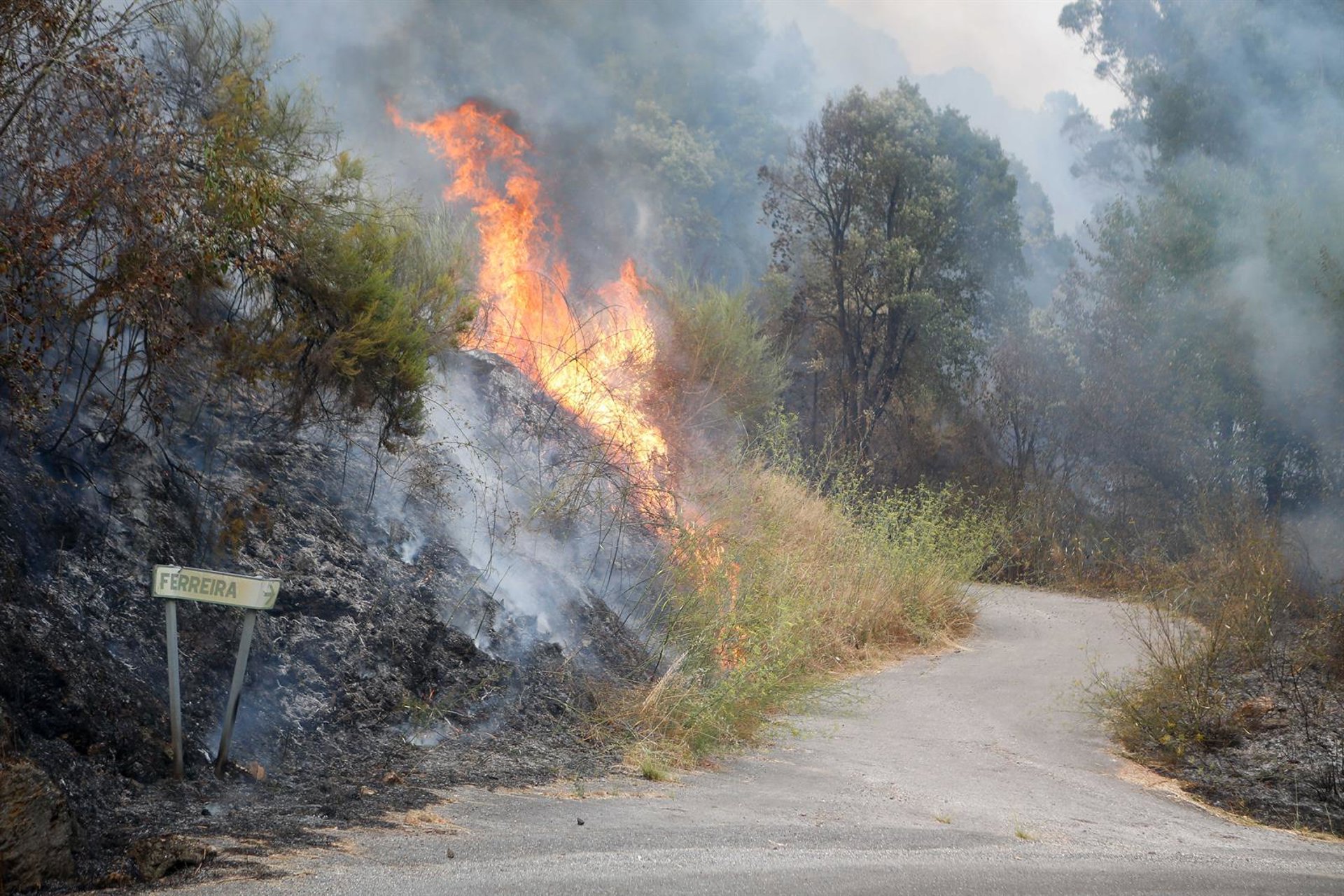 La Cátedra de Seguridad, Emergencias y Catástrofes de UMA coordina un mapa interactivo de incendios forestales
