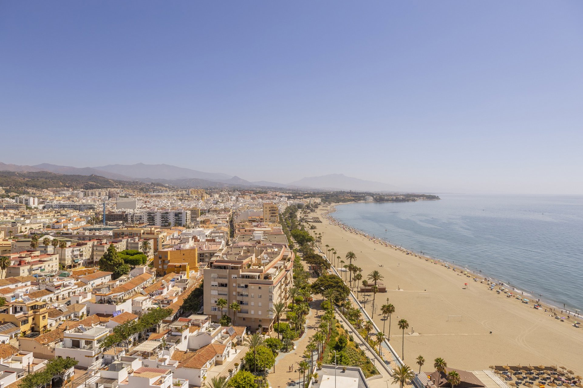 El Ayuntamiento de Estepona abre la licitación del servicio de rescate y protección animal