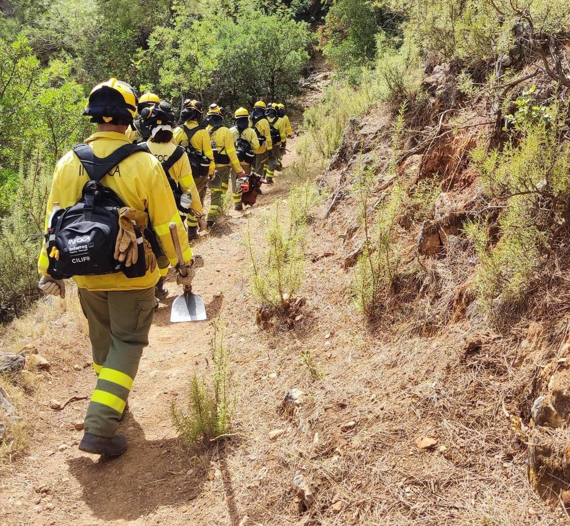 El Plan Infoca da por controlado el incendio de Alcaucín que contaba con casi 50 efectivos
