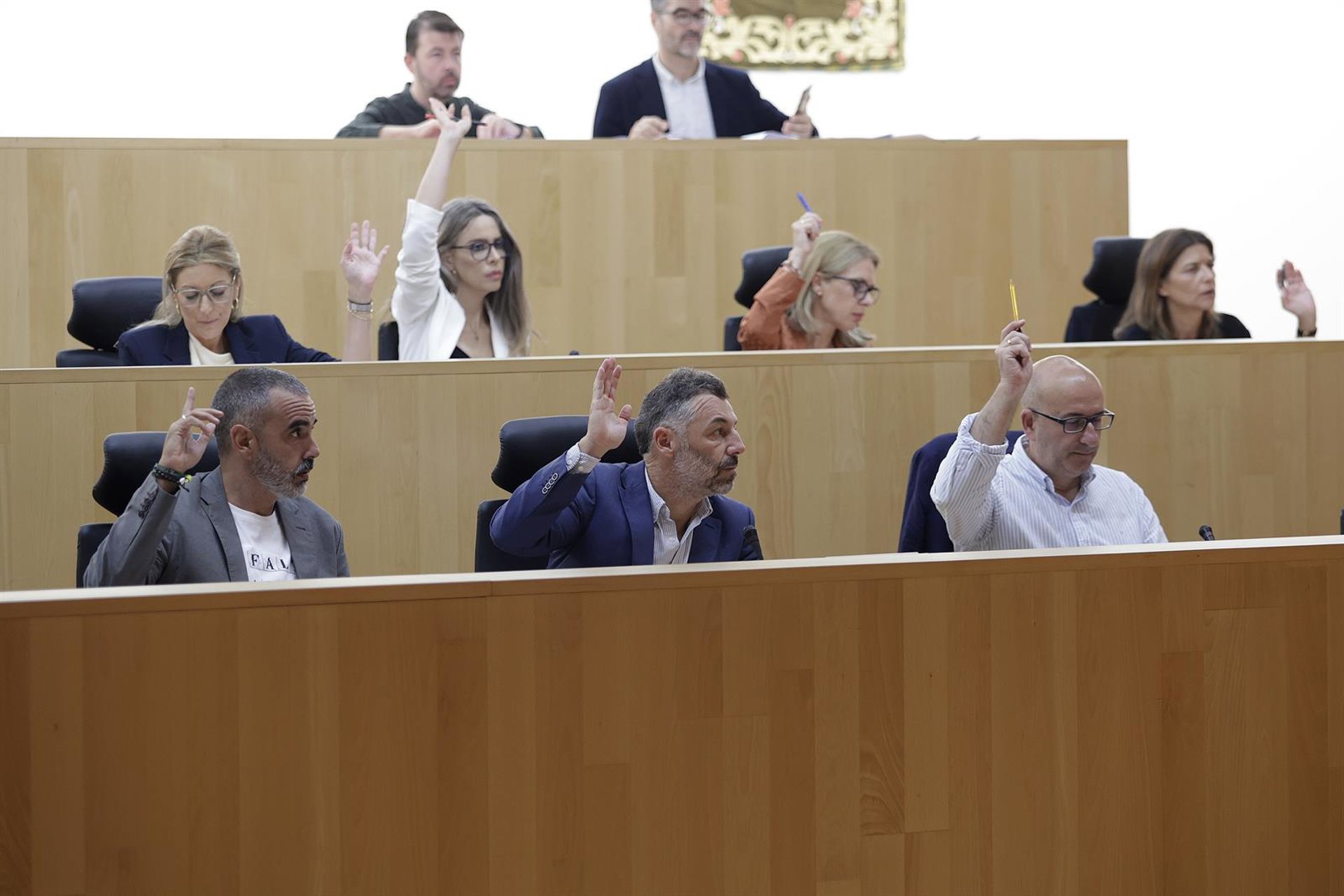 El Pleno de la Diputación pide al Gobierno que reconozcan errores en pulseras antimaltrato
