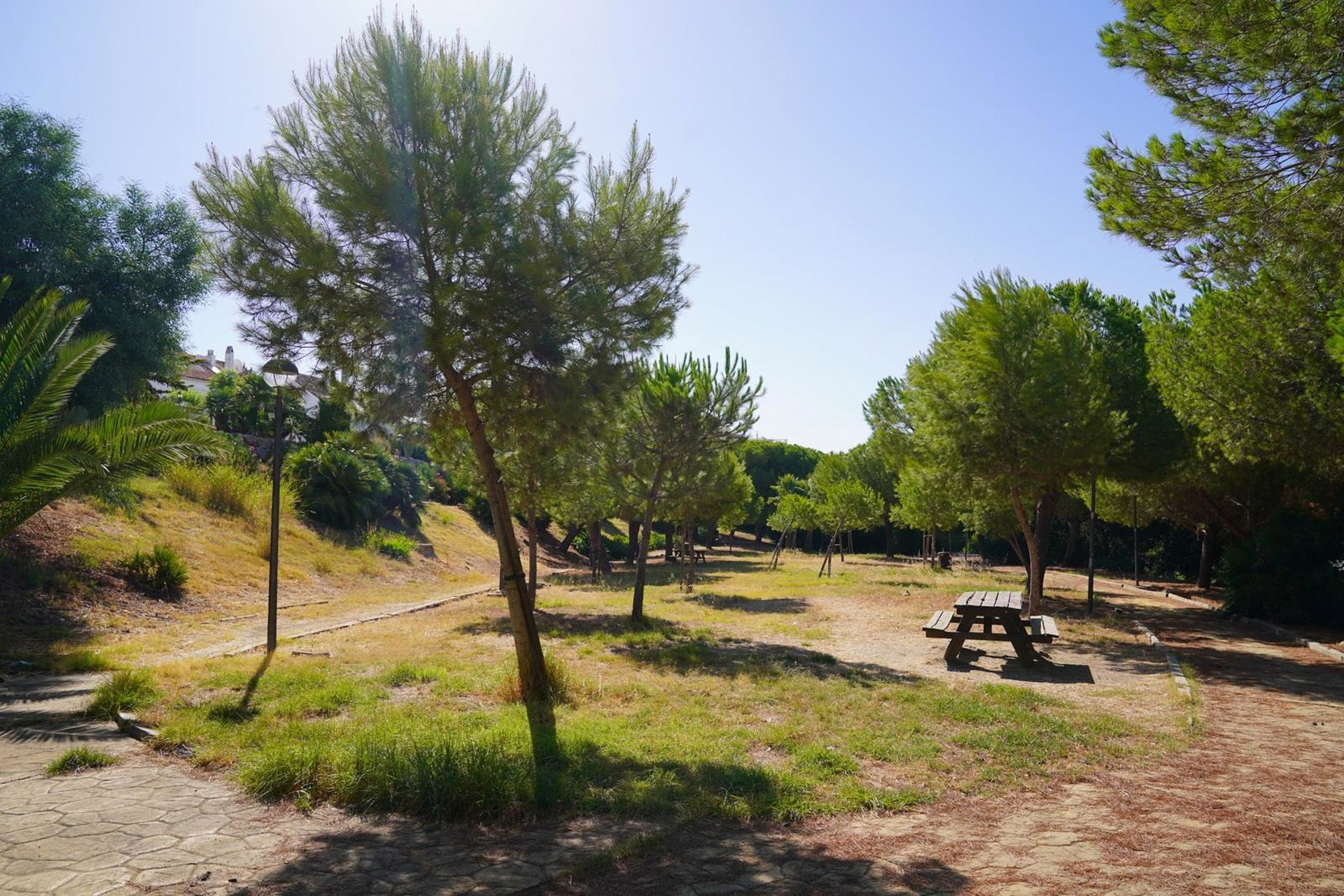 Ayuntamiento de Estepona concluye trámites para acometer la mayor reforma y mejora del parque público Seghers