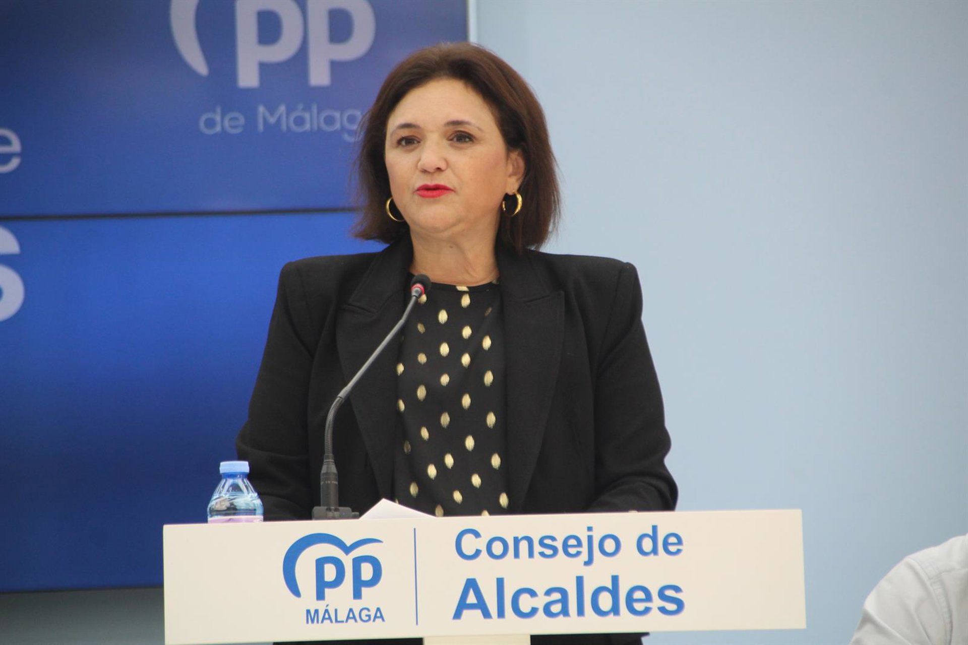 El PP afea al Gobierno central la "situación de emergencia" que sufre la A-7 con "continuos colapsos"