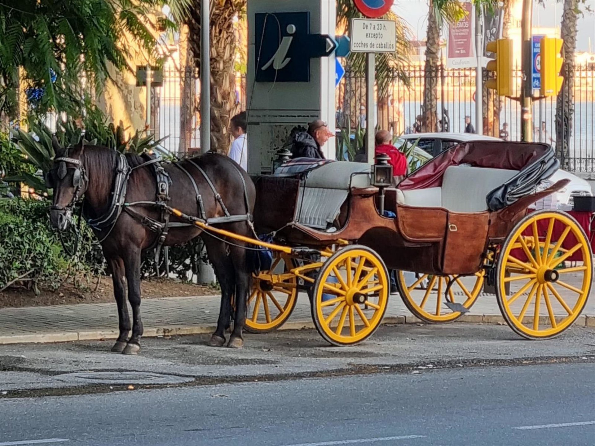Pacma valora el fin definitivo de los coches de caballos en Málaga