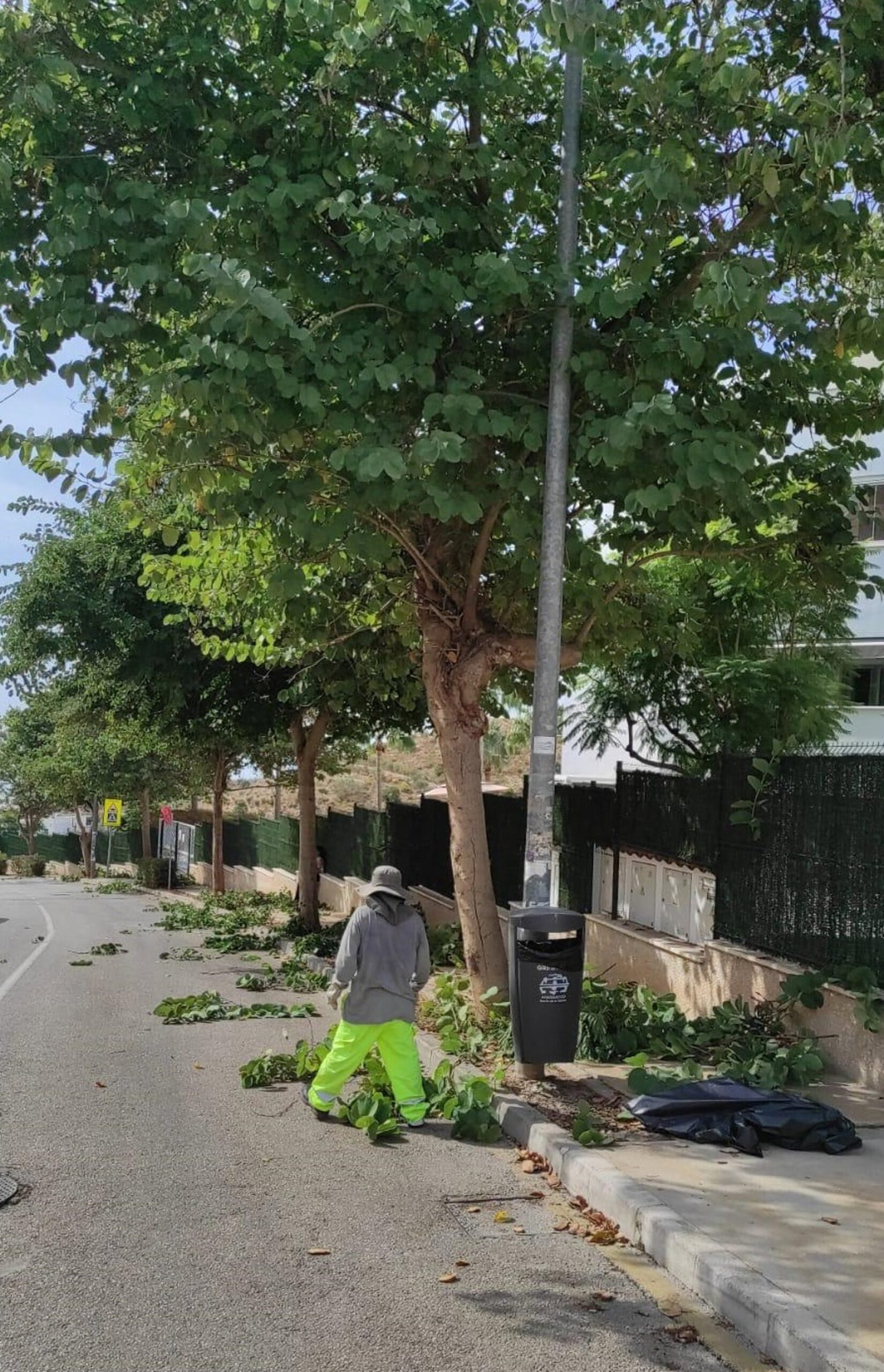 Rincón renueva los trabajos de limpieza, desbroce y mantenimiento de zonas y parcelas municipales