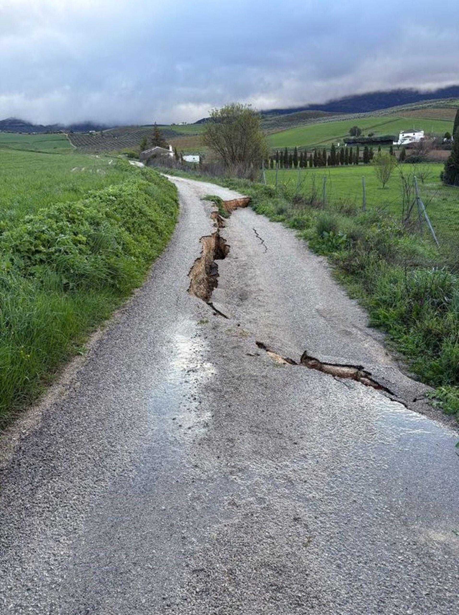 Ronda destinará casi 37.000 euros a arreglar los caminos de Cochinitas y a Cartajima dañados por los temporales