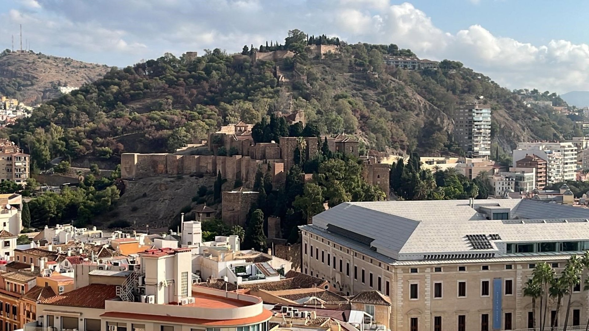Ayuntamiento adjudica la redacción del proyecto de renaturalización y reparación ambiental del monte Gibralfaro