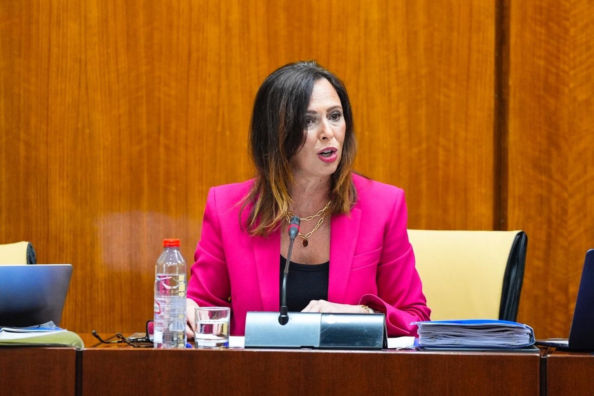La Junta analiza 22 ofertas para el desdoble del eje Málaga-Campillos-Ronda entre Casapalma y Cerralba
