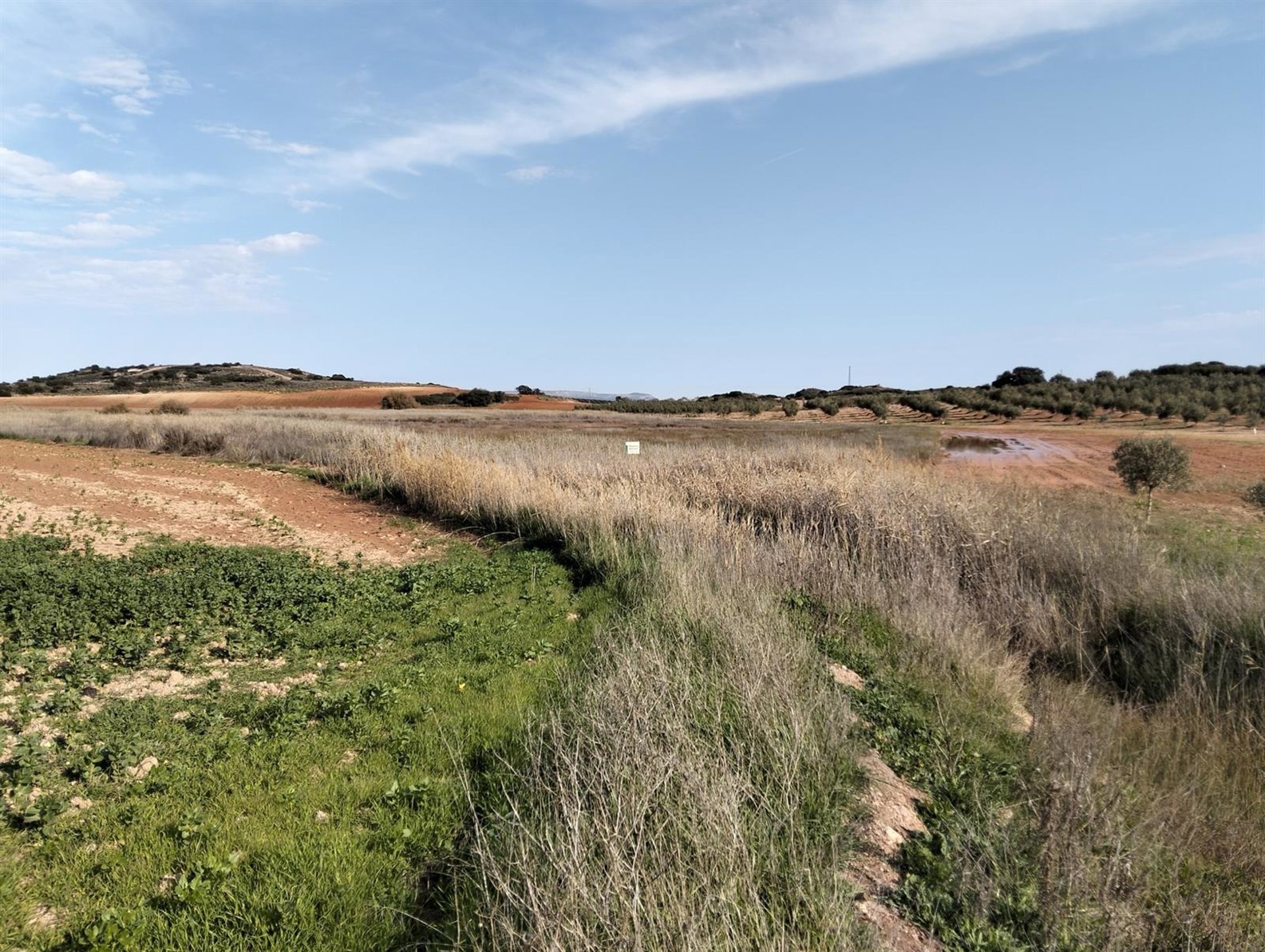 La Junta compra los terrenos de la Laguna de Camuñas en Campillos para su restauración ambiental