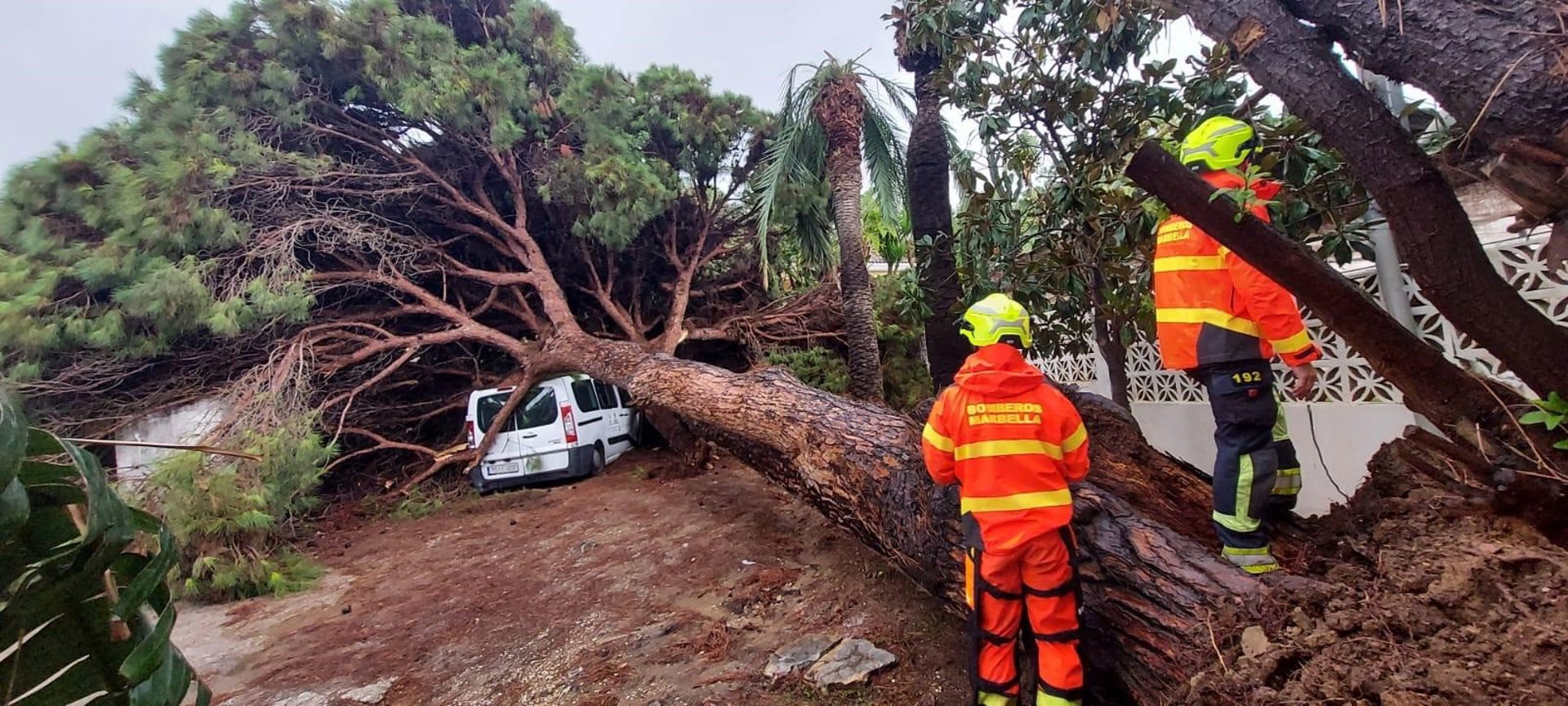 Los servicios de emergencia de Marbella realizan 36 intervenciones sin incidentes de gravedad por la borrasca