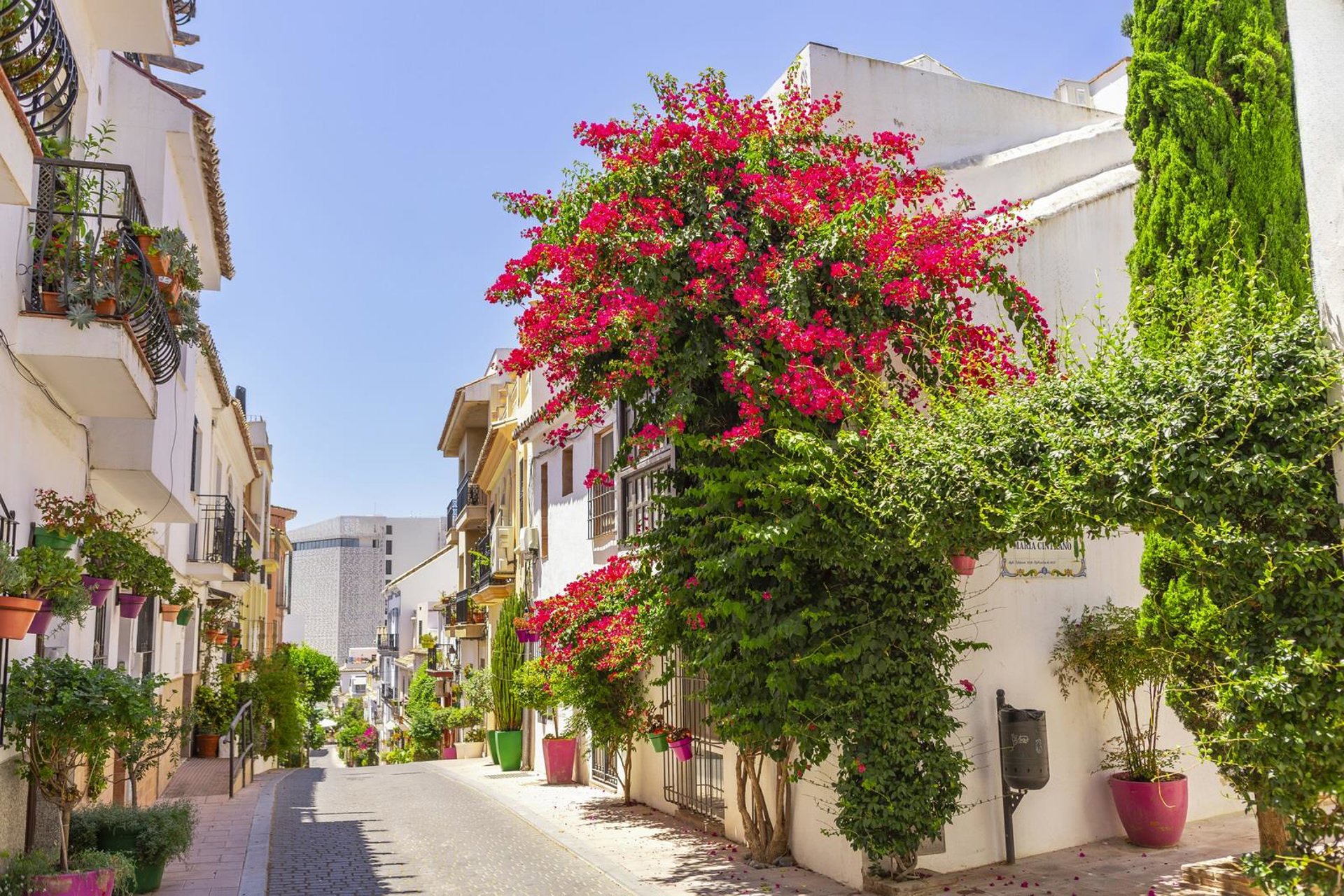Estepona, reconocida por la excelencia de sus jardines en el certamen 'Andalucía en Flor'