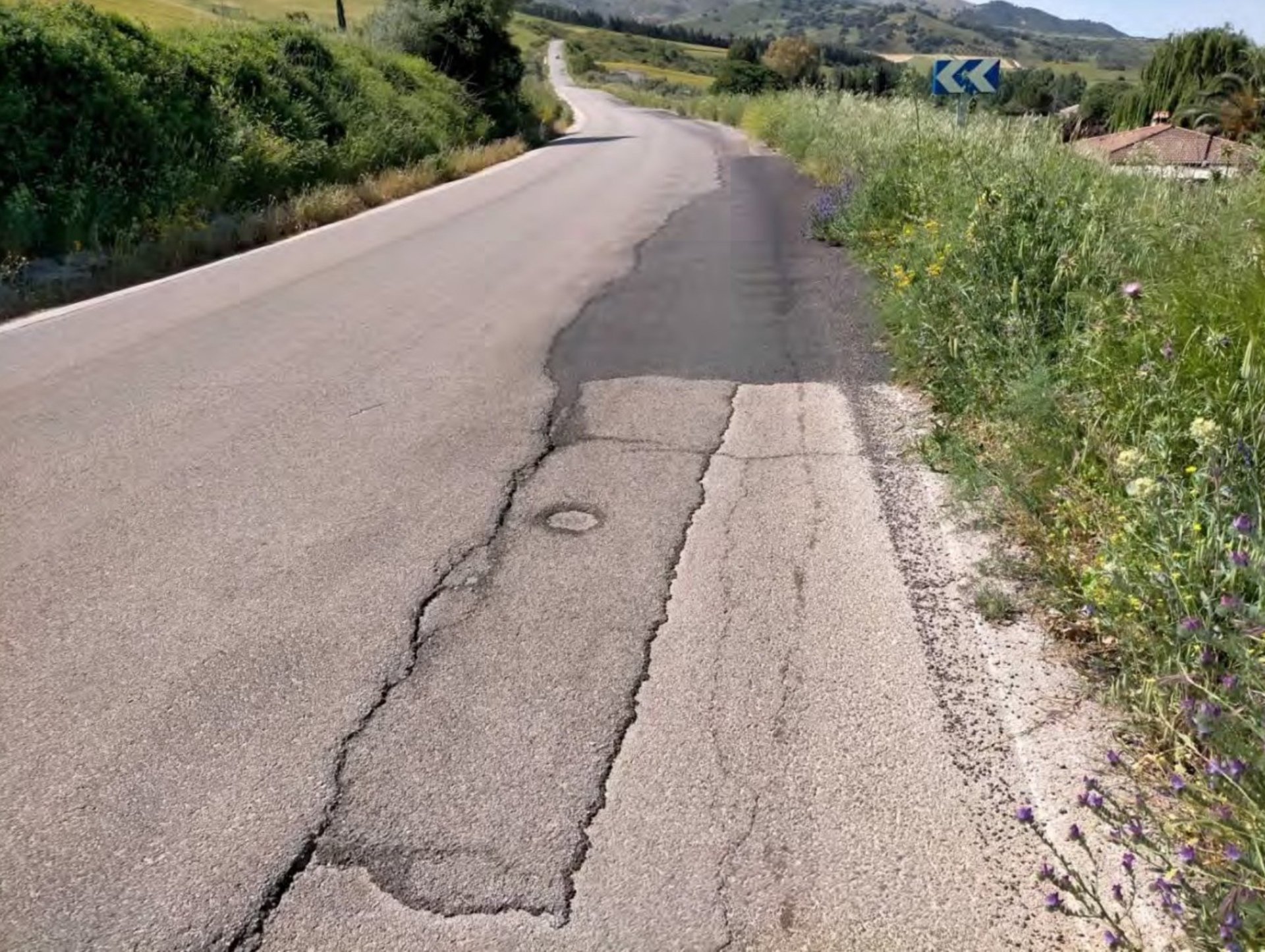La Diputación adjudica por 3,1 millones el arreglo de la carretera de acceso al Valle del Guadiaro desde Ronda