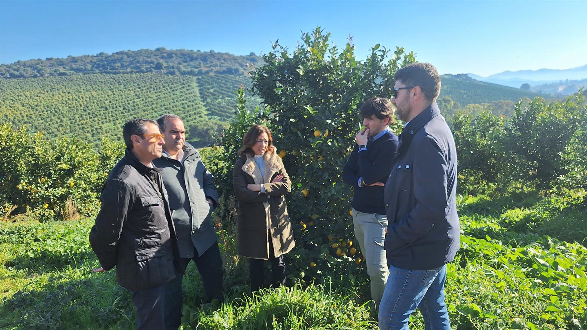 La Junta finaliza el año con el pago de indemnizaciones por sequía y lluvia a más de 2.000 agricultores