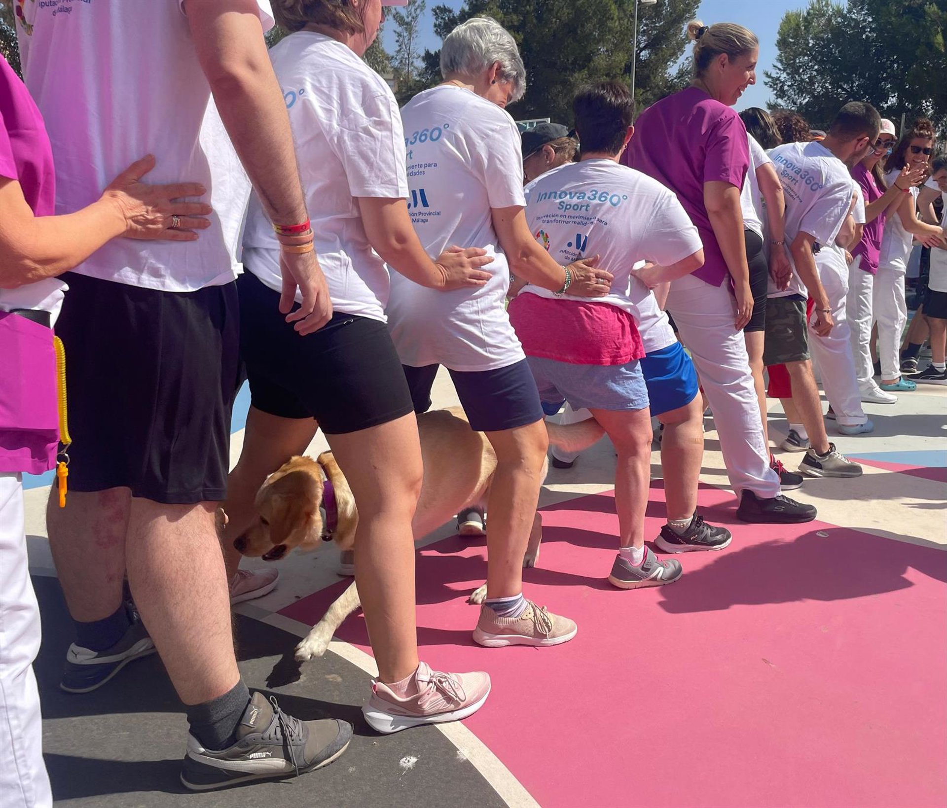 Más de 200 personas participan esta temporada en programa de deporte inclusivo Innova 360 Sport de Diputación