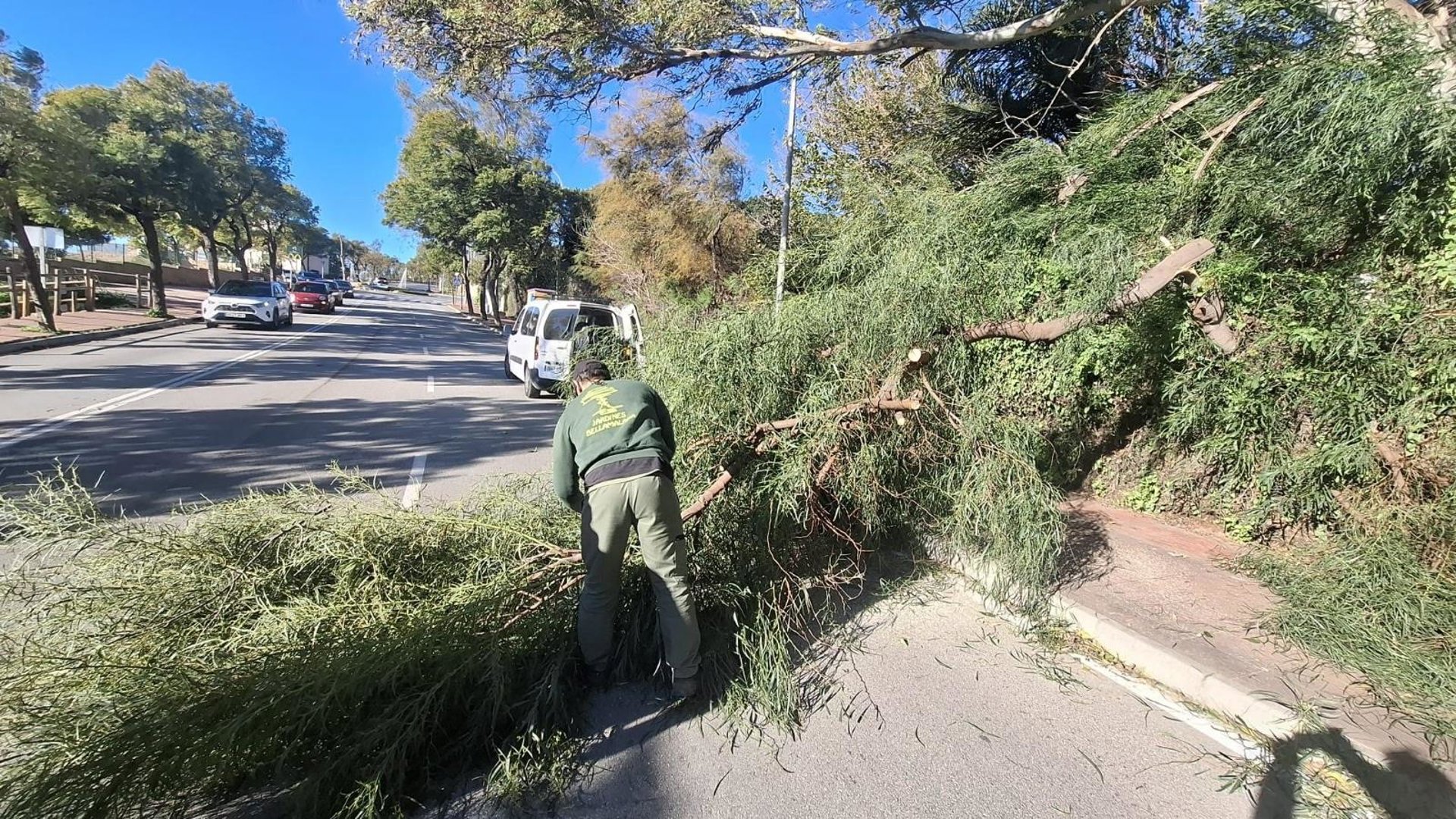Benalmádena registra más de una veintena de intervenciones en el Día de Reyes por las fuertes rachas de viento