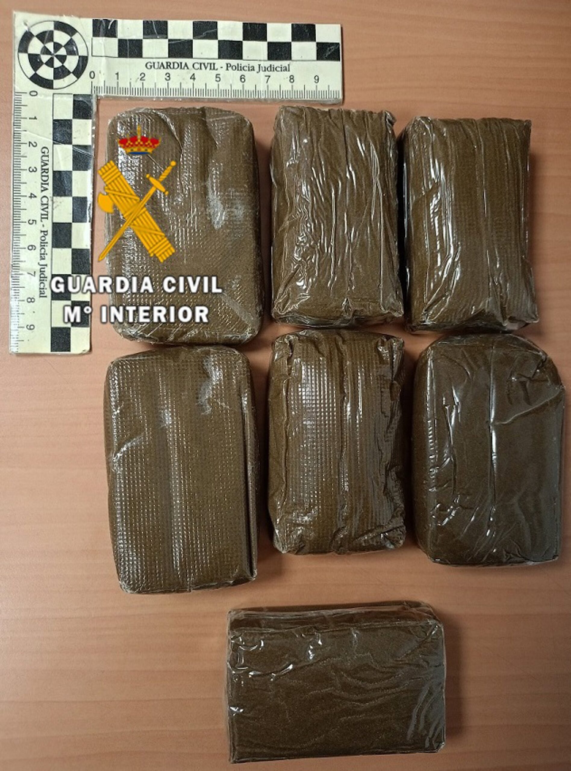 Dos jóvenes de 21 años, detenidos en un hotel de Mijas con 716 gramos de hachís en tabletas