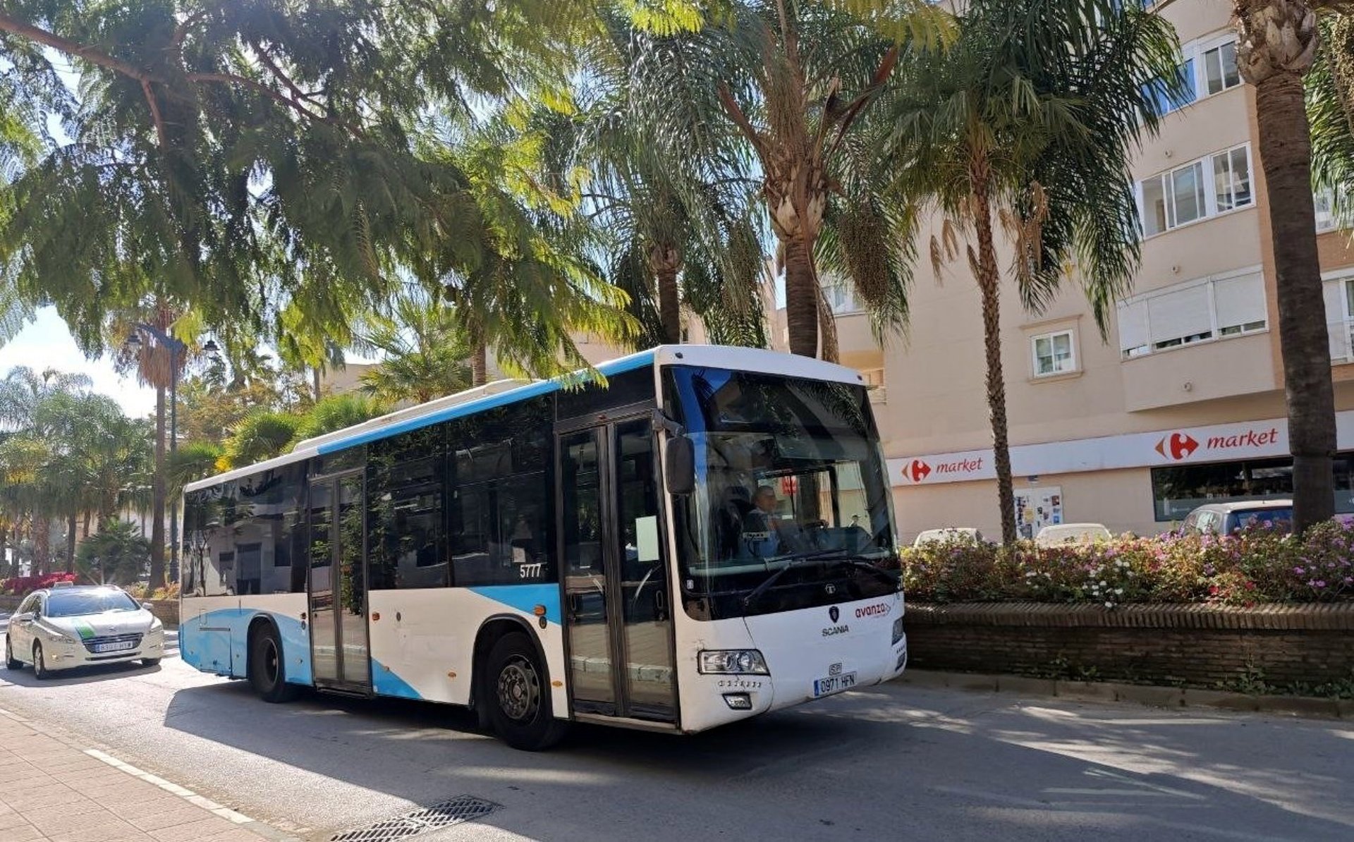 El Ayuntamiento de Estepona contrata la adquisición de nuevas marquesinas para las paradas de autobús