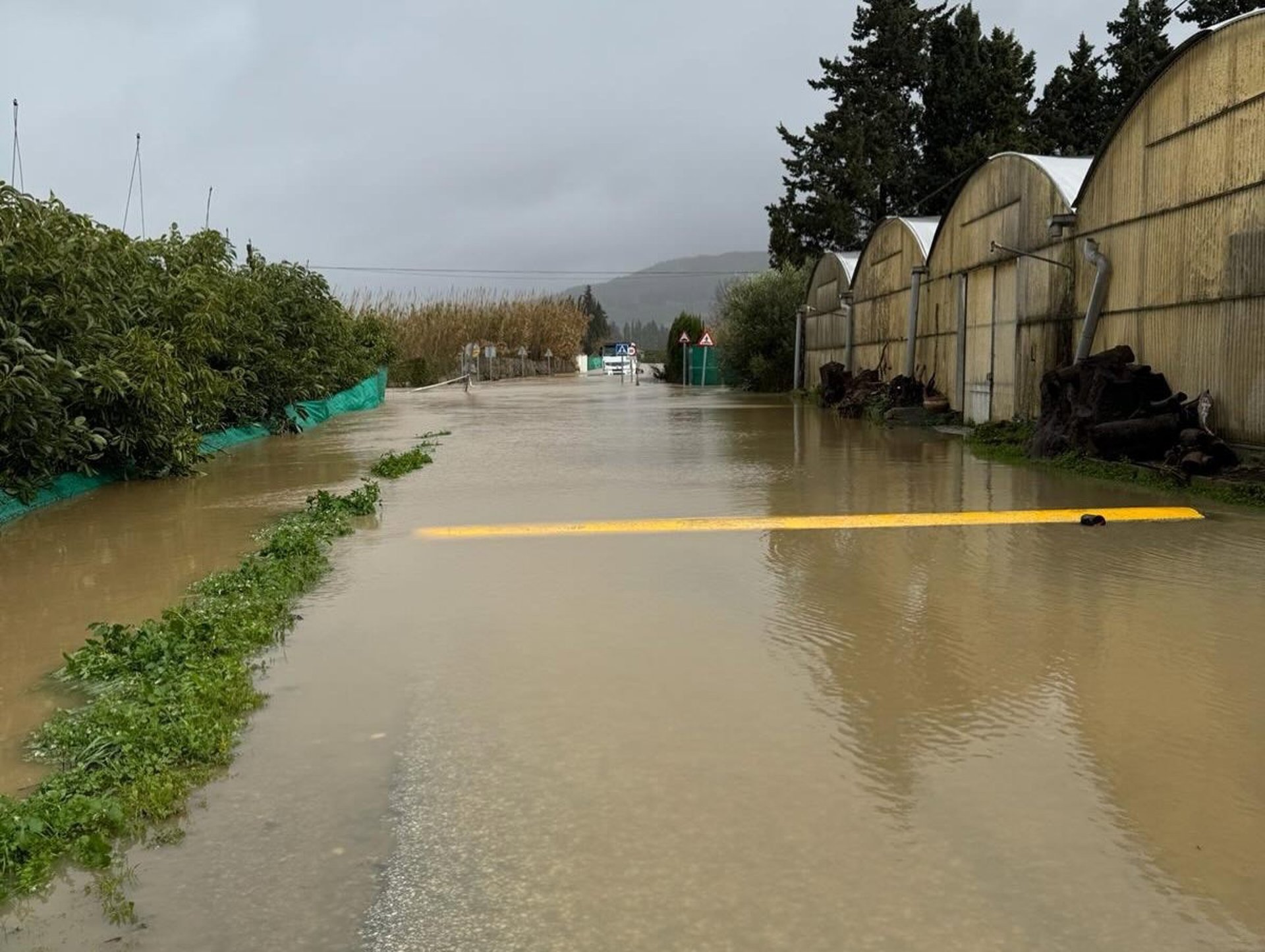 El núcleo urbano de Secadero en Casares, incomunicado por cortes de carreteras