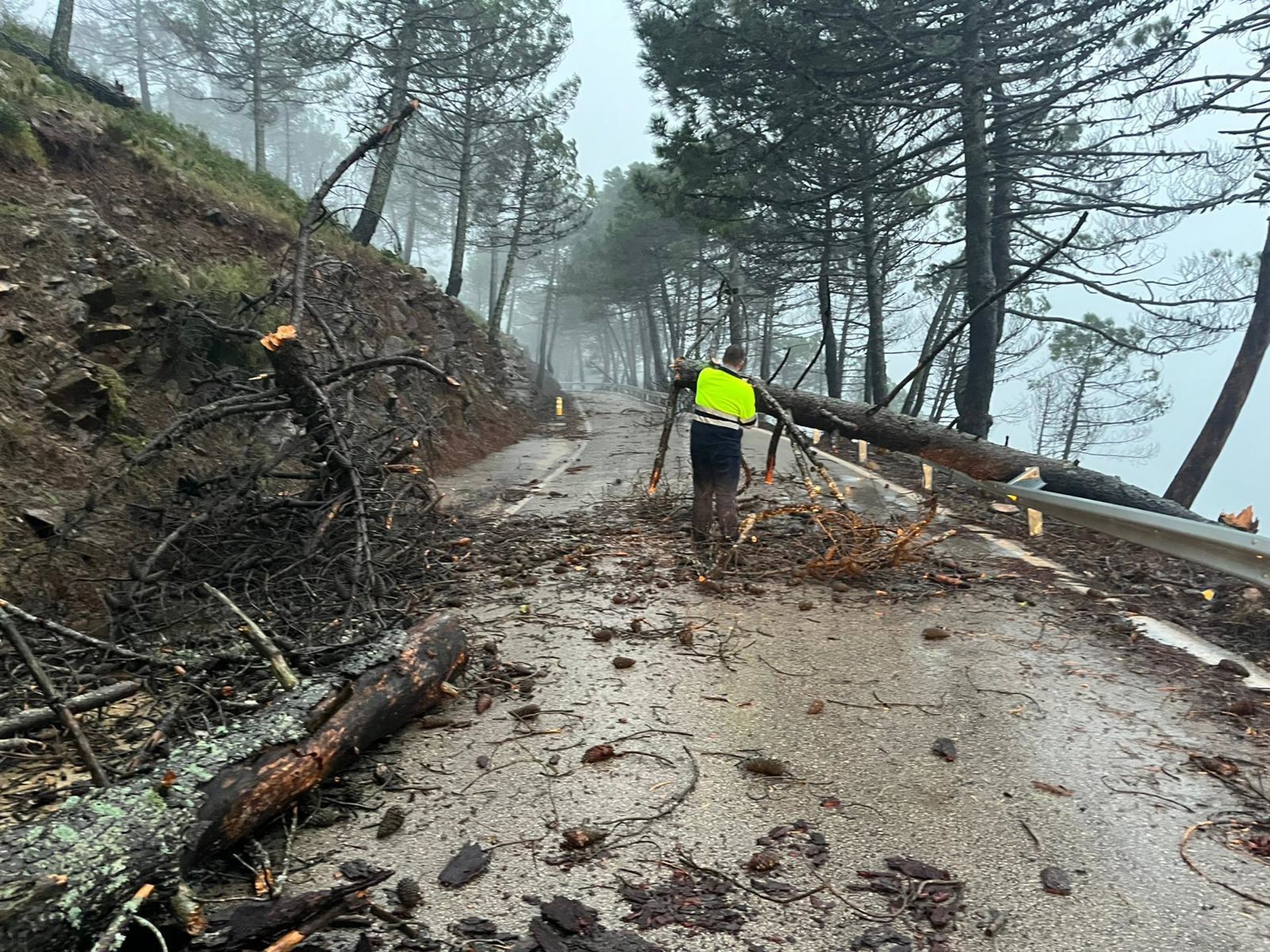 La Diputación actúa en 13 carreteras de la provincia por el temporal de viento y lluvia