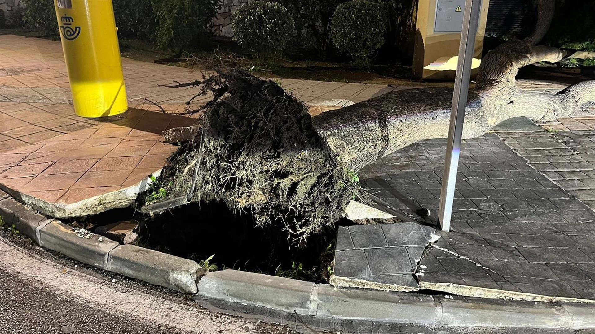 Municipios del litoral registran una veintena de incidencias provocadas por fuerte viento