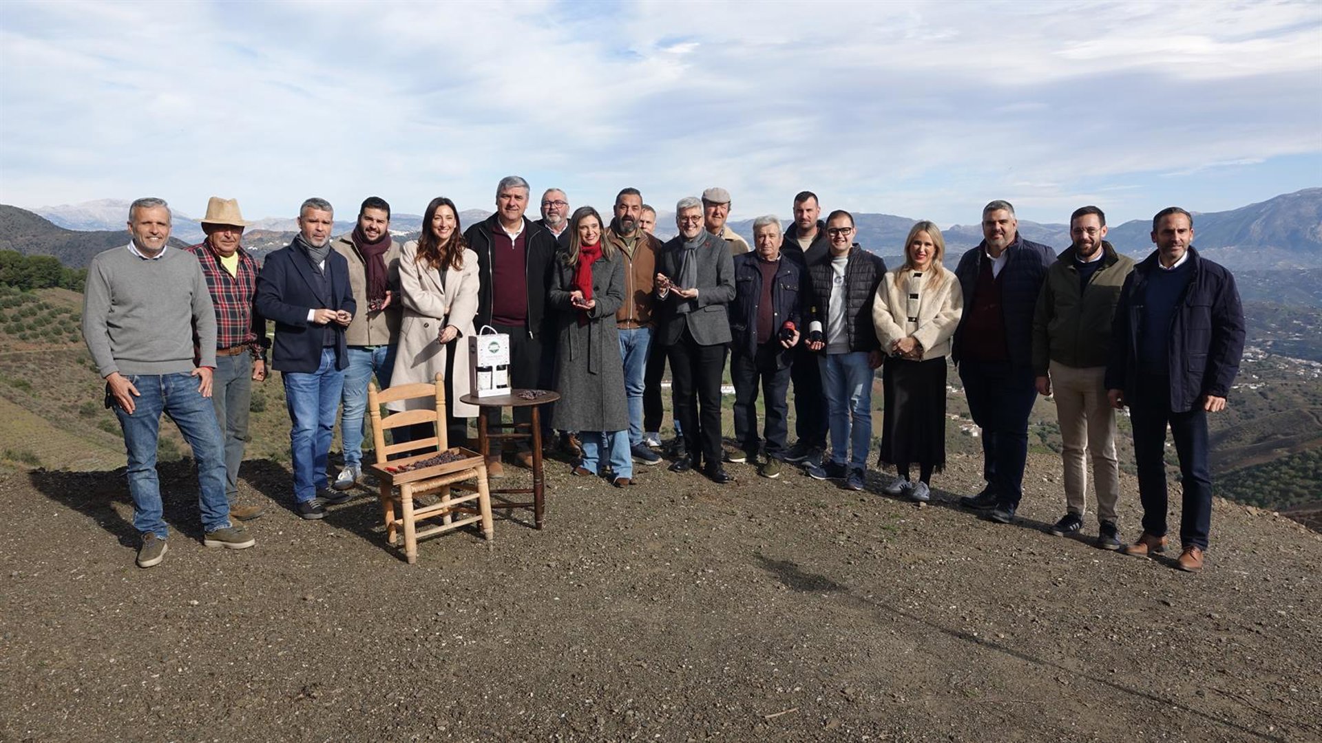 PSOE exige a la Junta que apoye el Sipam de la uva pasa de la Axarquía y critica el "recorte" presupuestario