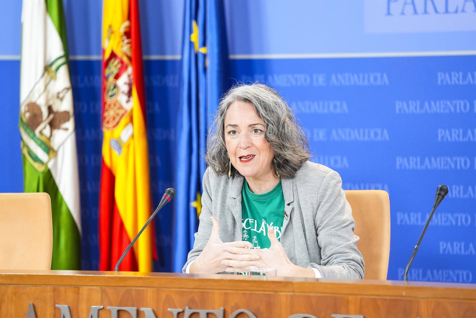 Adelante pide la dimisión de Marlaska por no reconocer a García Caparrós como "víctima del terrorismo"