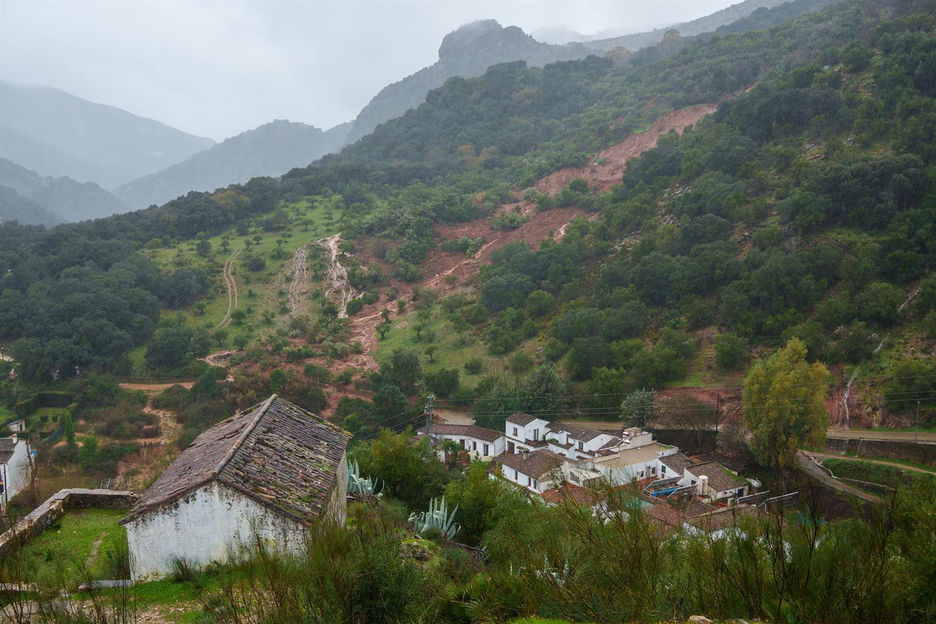 Asaja cifra en más de 110 millones los daños tras borrascas, que "han hecho muchísimo daño"