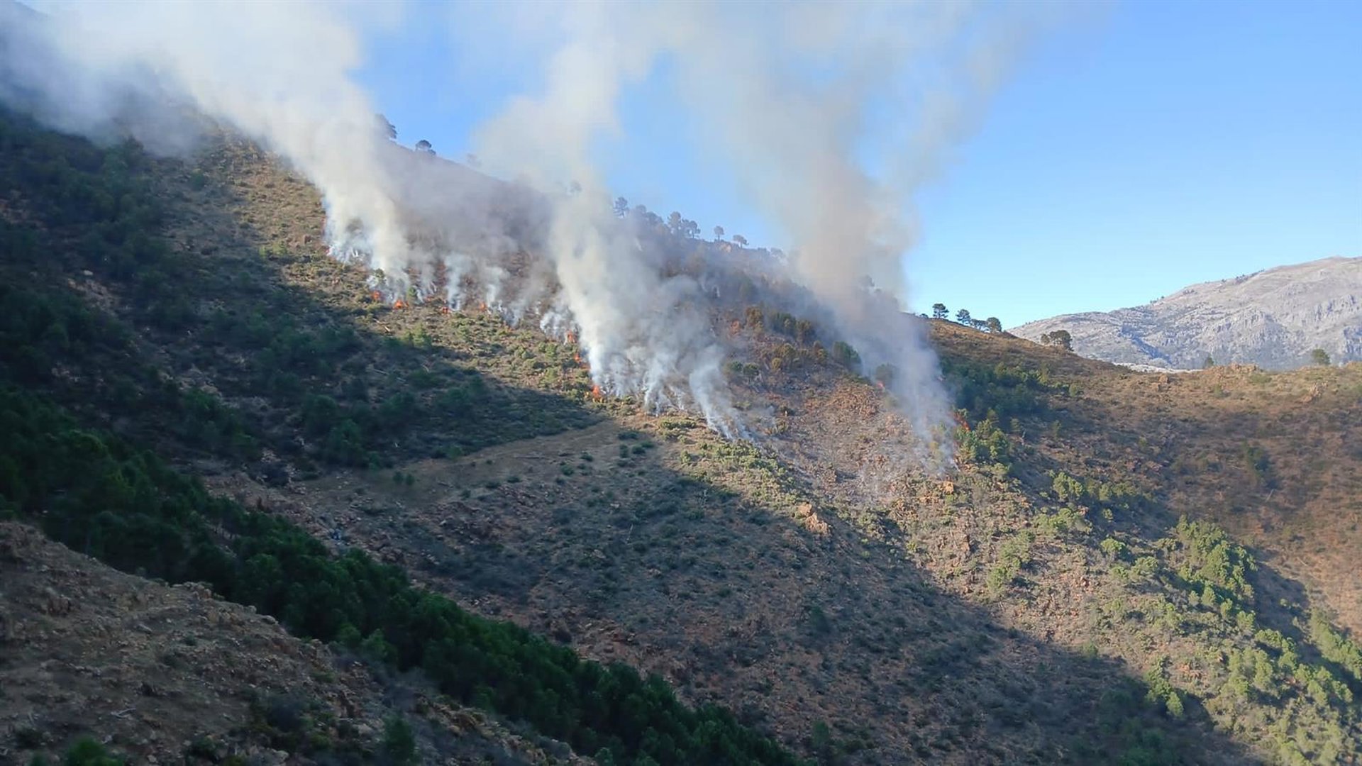 Declarado un incendio forestal en Istán