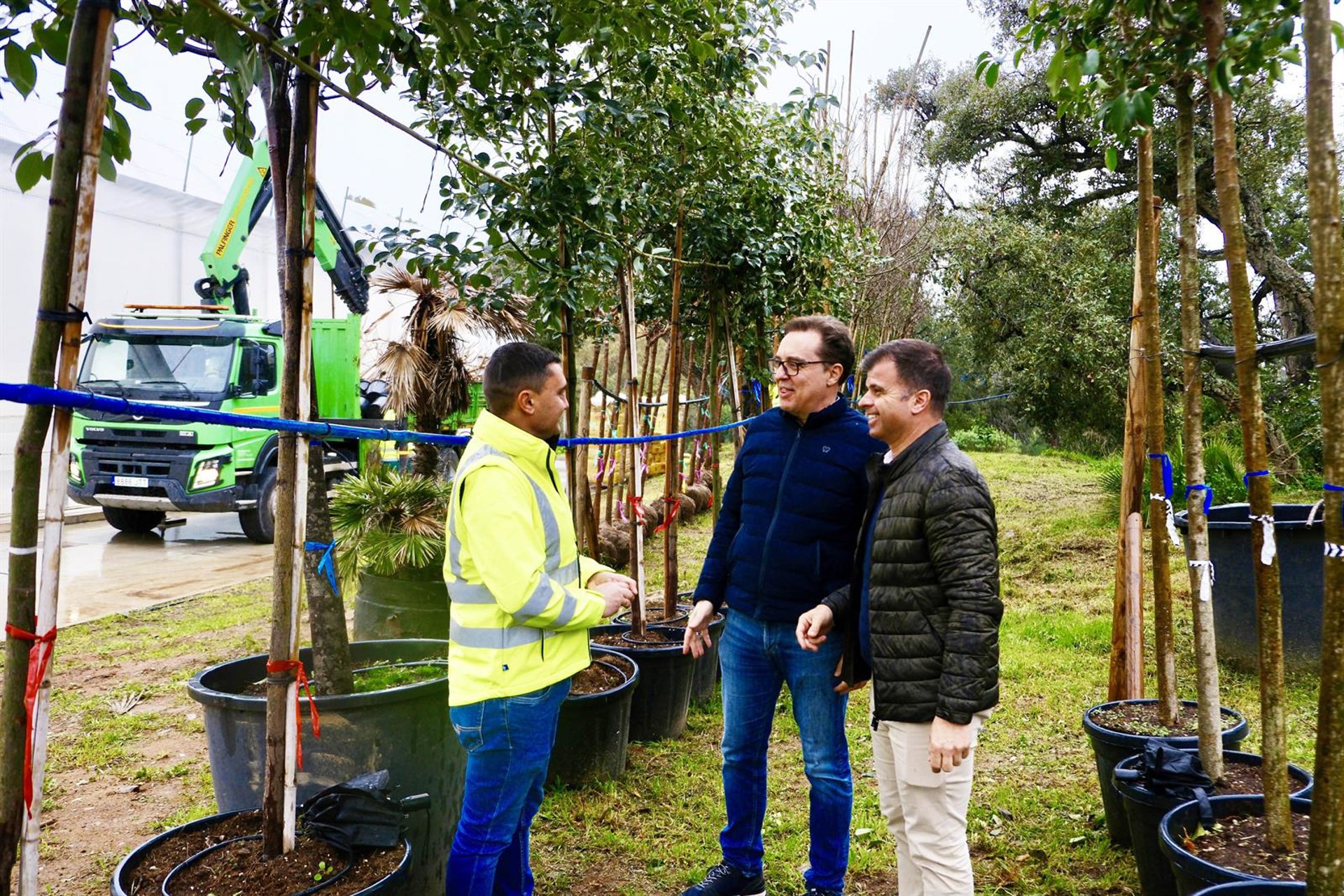 Marbella refuerza su modelo de ciudad verde con la llegada de más de 350 árboles para su plantación