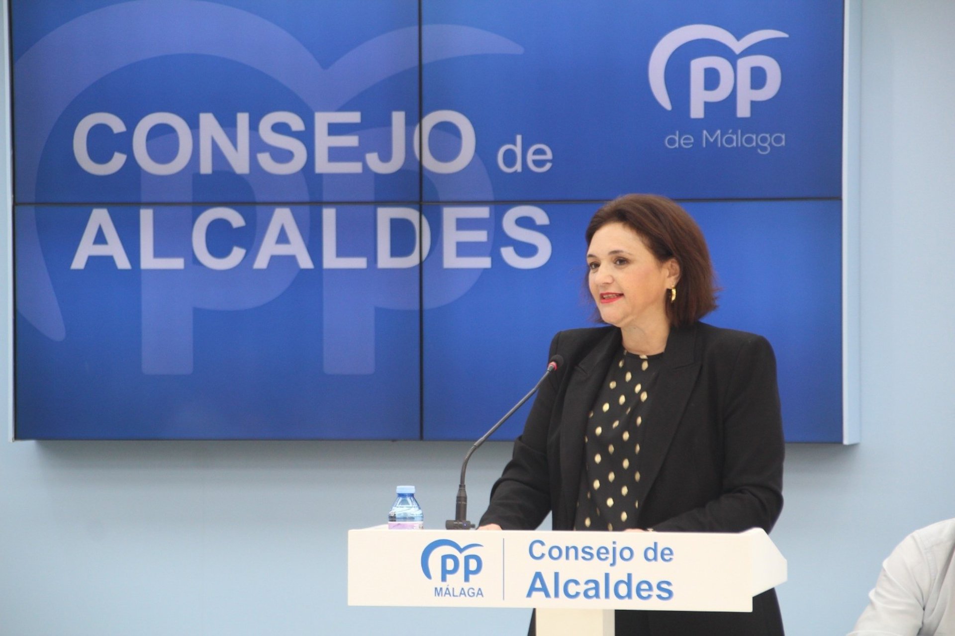 PP lamenta que el Gobierno niegue pérdidas por "el caos" ferroviario para "tapar su incompetencia"