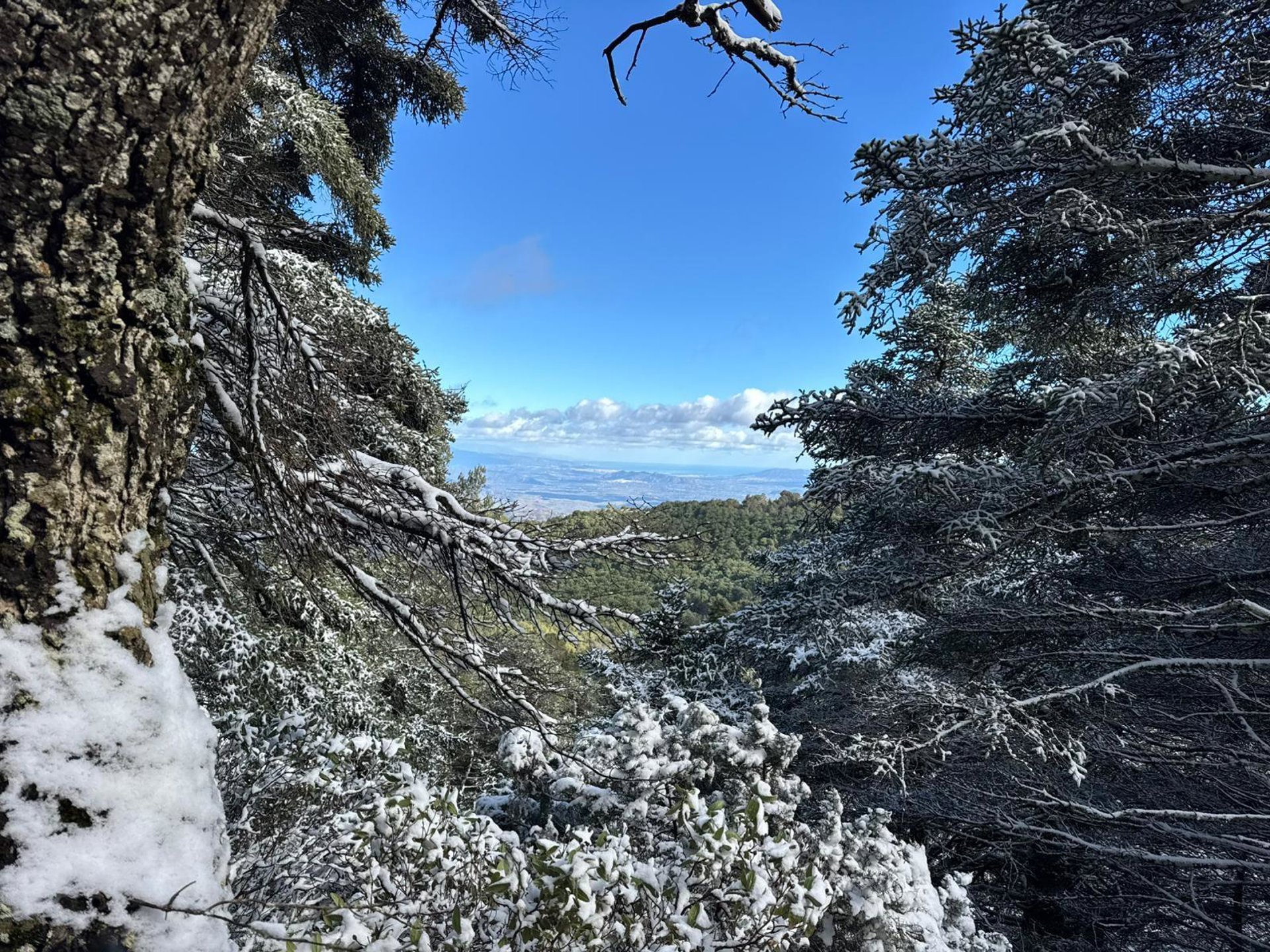 Sierra de las Nieves inicia el proceso para adherirse al club de producto Ecoturismo en España
