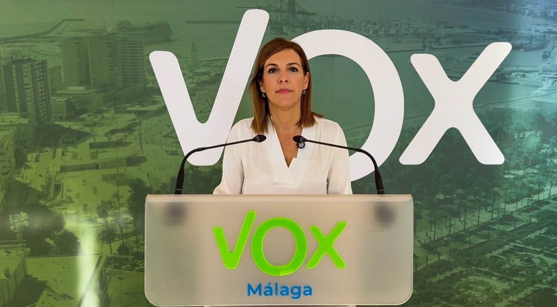 Vox critica que PP y PSOE "dinamitan los servicios públicos esenciales" de Málaga